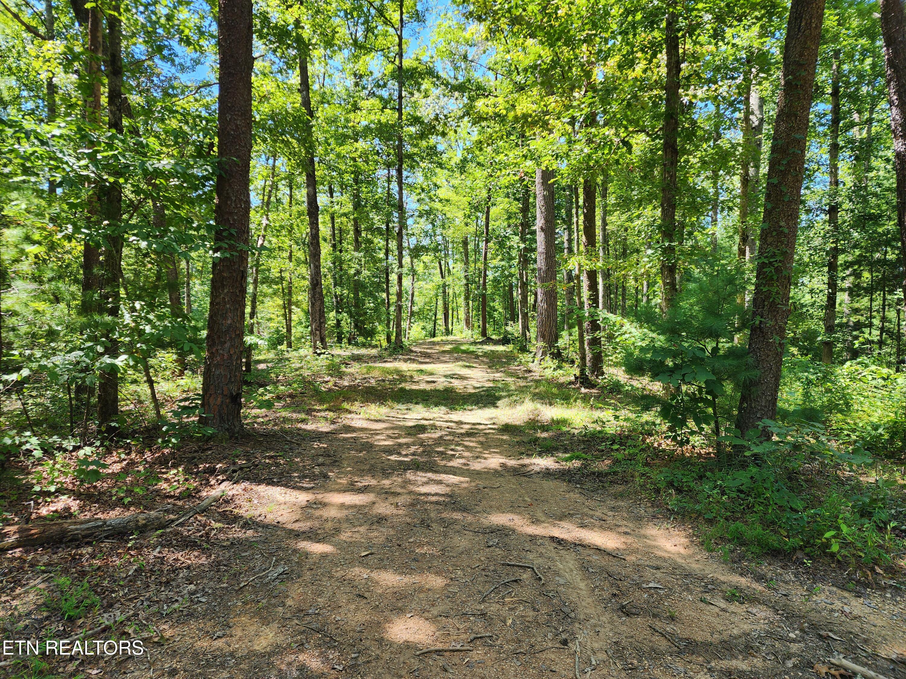 2000 E Millers Cove Road Walland TN 37886