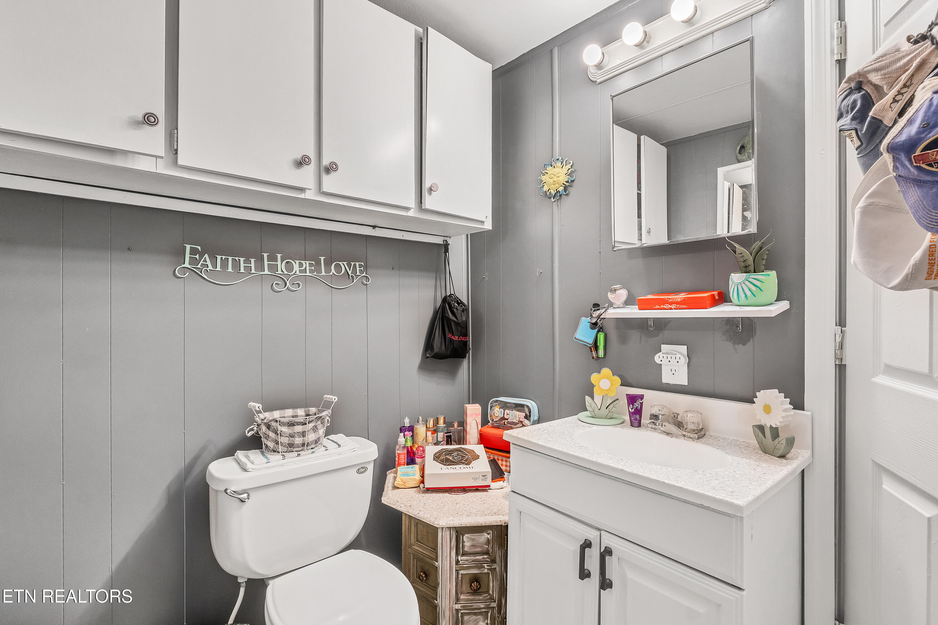 419 Mountain Thrush Drive Townsend TN 37882