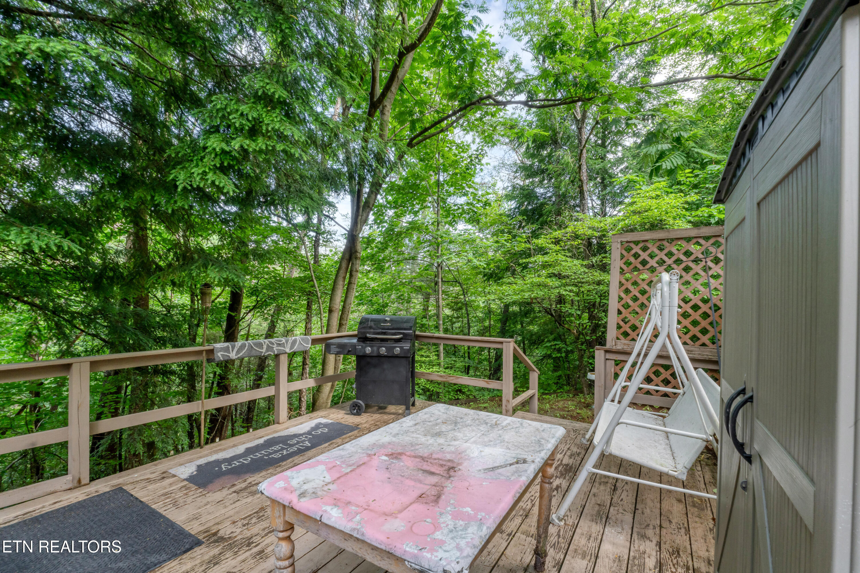 419 Mountain Thrush Drive Townsend TN 37882