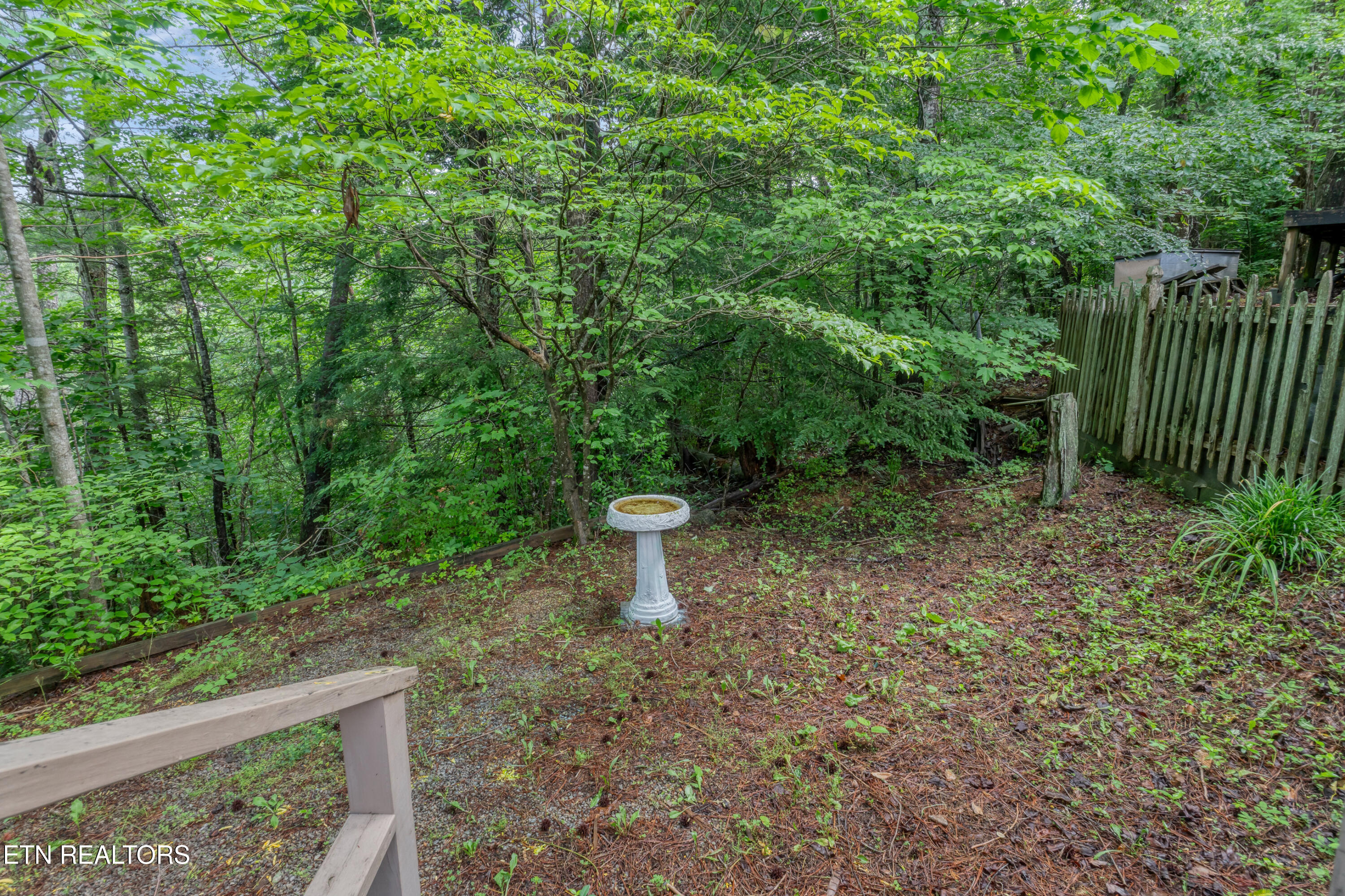 419 Mountain Thrush Drive Townsend TN 37882