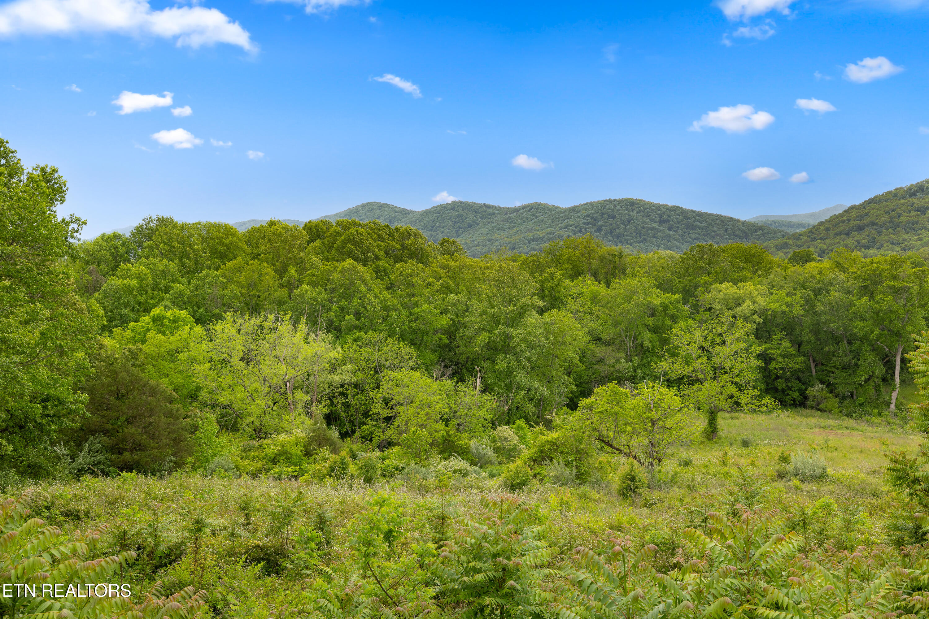 212 Poppy Hill Lane Lafollette TN 37766