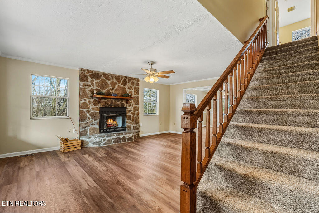 219 Cox Road Loudon TN 37774