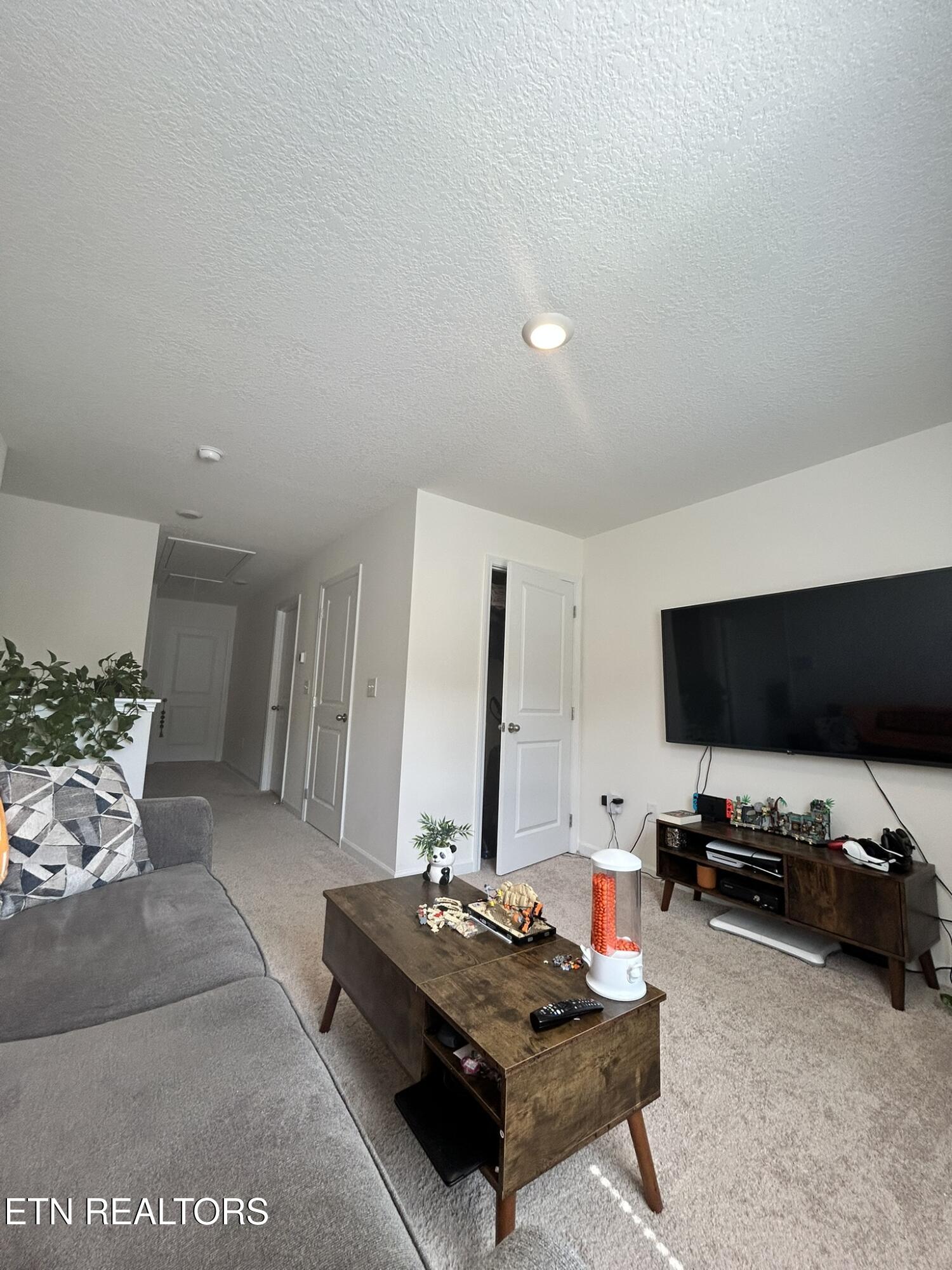 313 Hayley Marie Lane Knoxville TN 37920