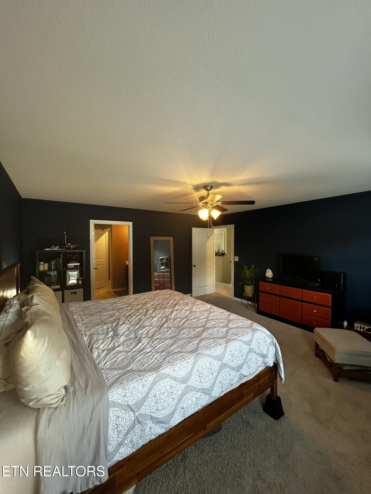 313 Hayley Marie Lane Knoxville TN 37920