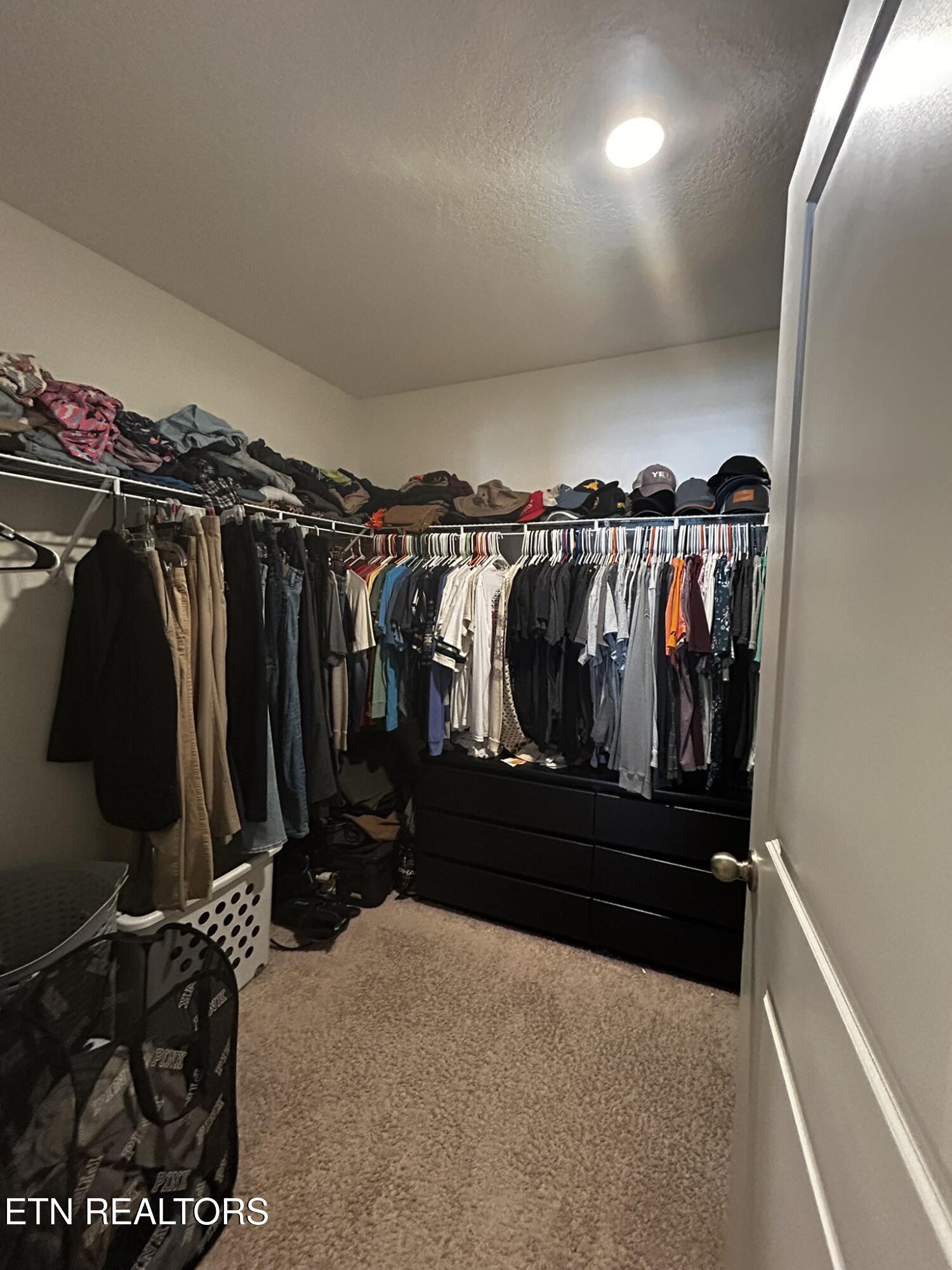 313 Hayley Marie Lane Knoxville TN 37920