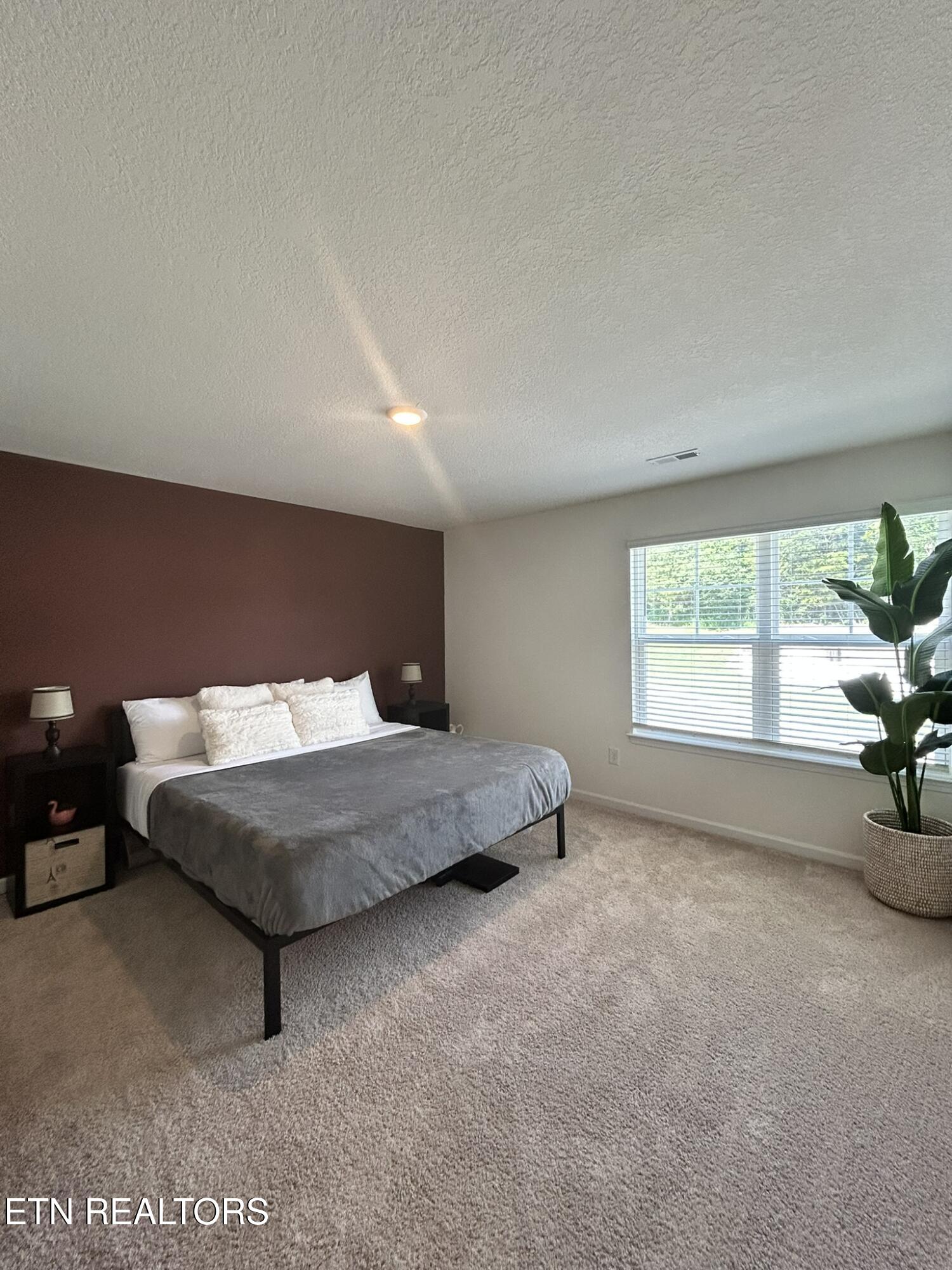 313 Hayley Marie Lane Knoxville TN 37920