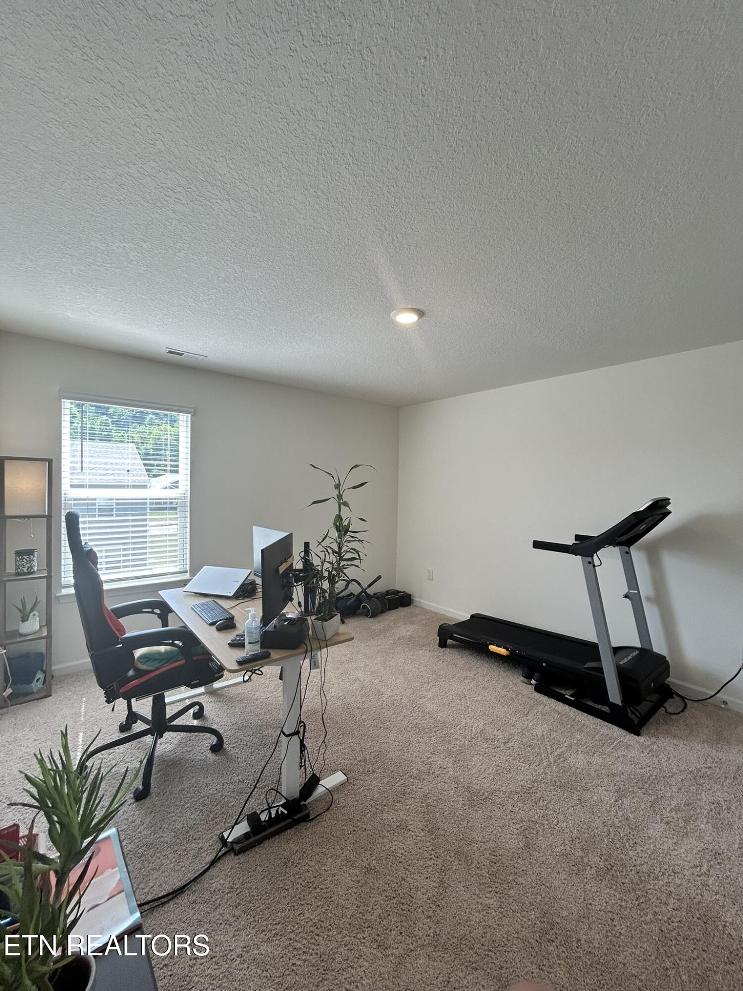313 Hayley Marie Lane Knoxville TN 37920