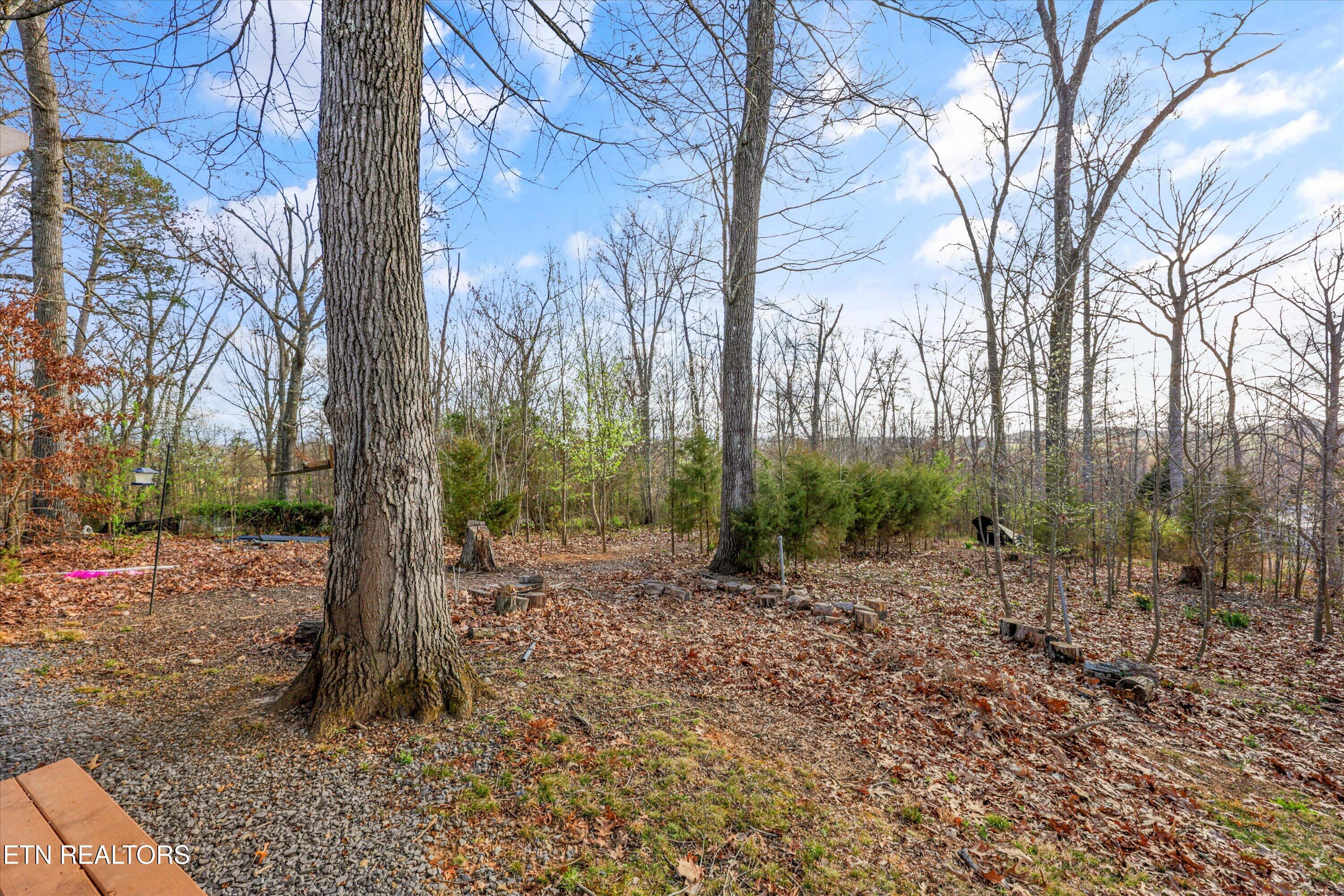 1729 Walnut Hill Lane Sevierville TN 37876