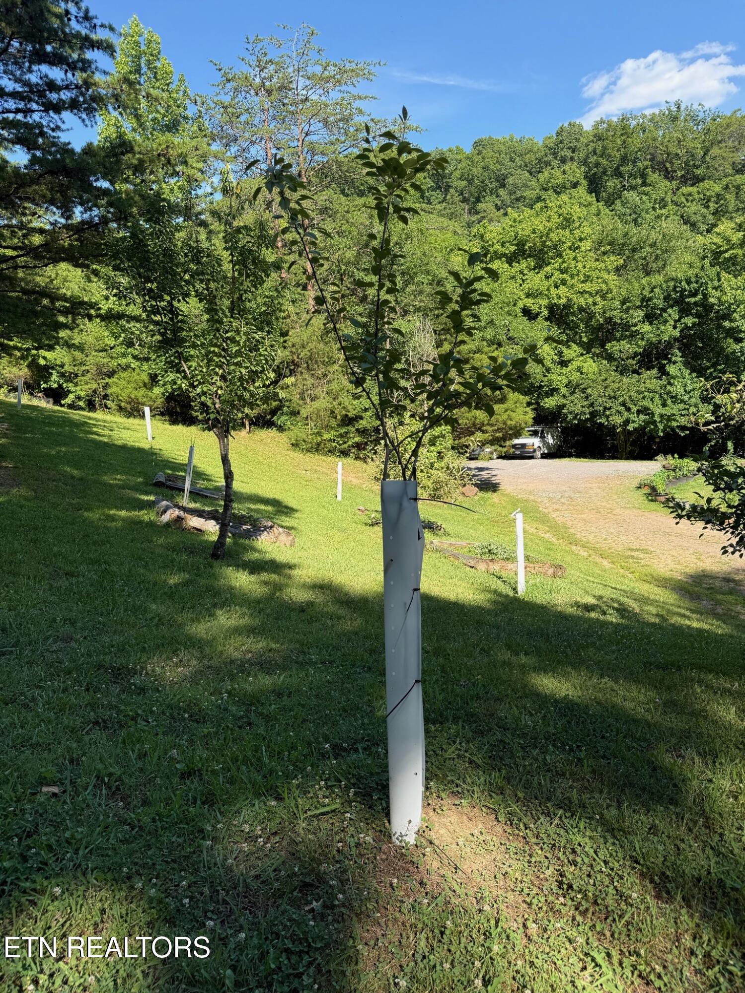 355 Lone Mountain Road Andersonville TN 37705