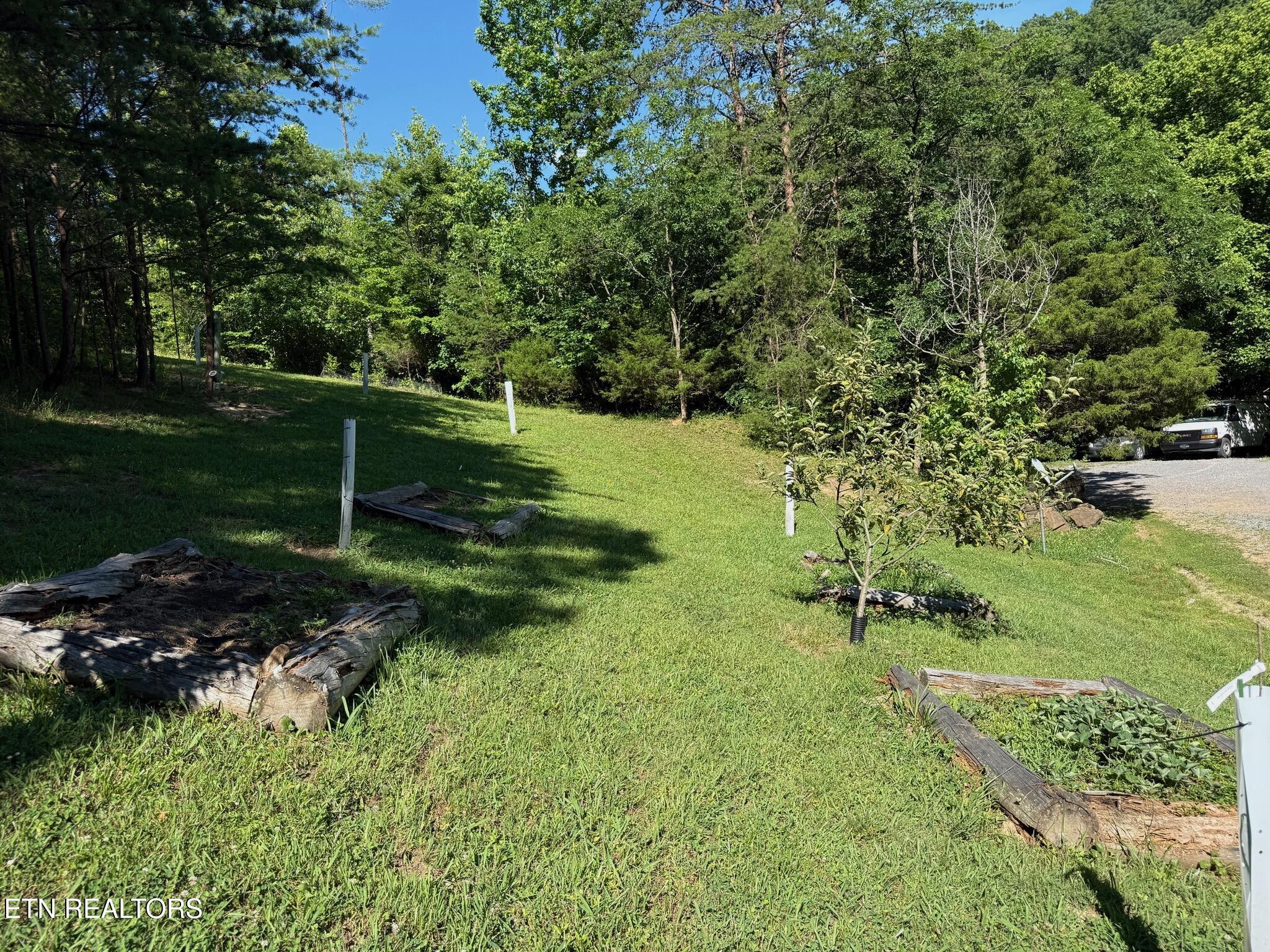 355 Lone Mountain Road Andersonville TN 37705