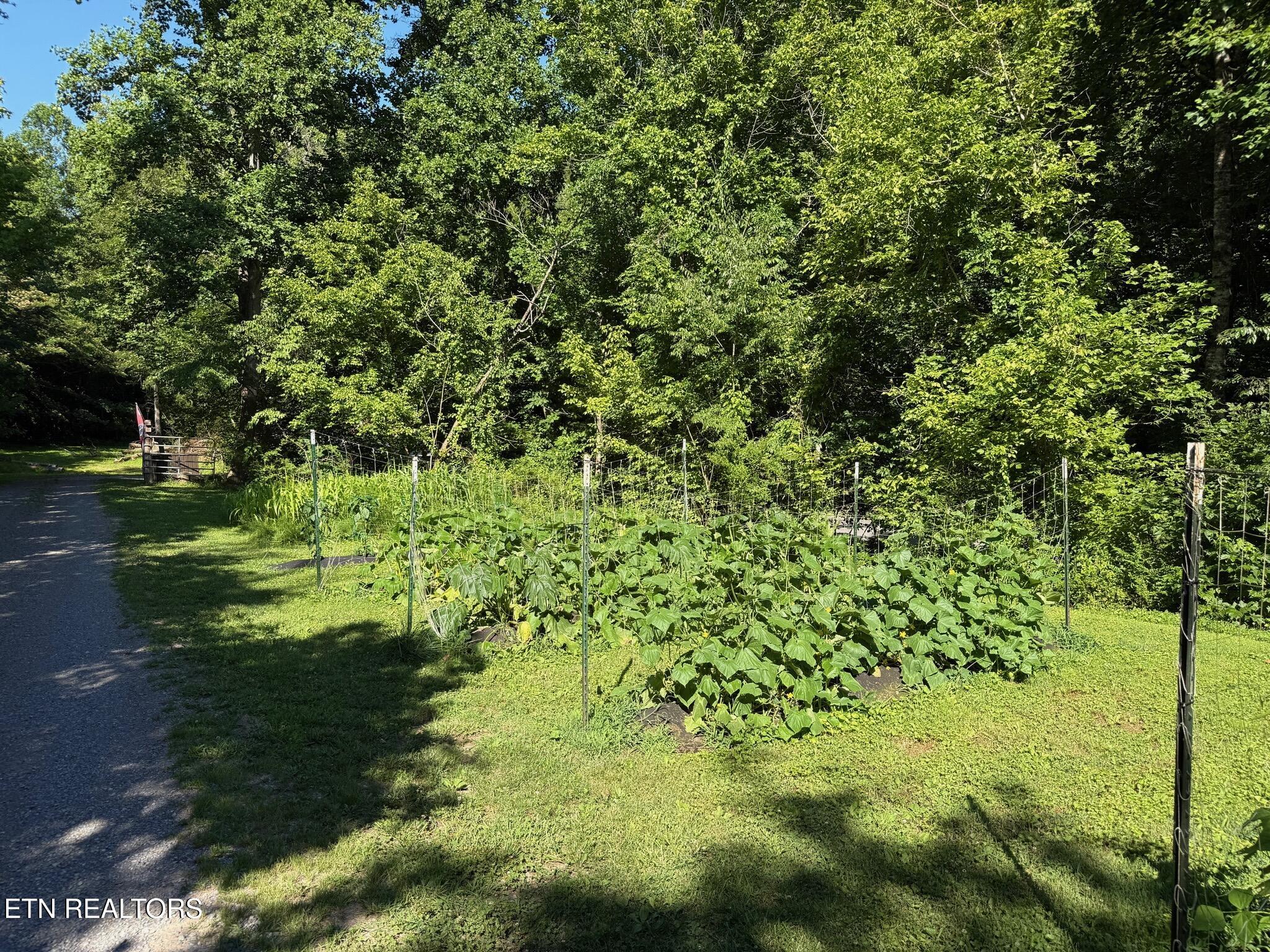 355 Lone Mountain Road Andersonville TN 37705