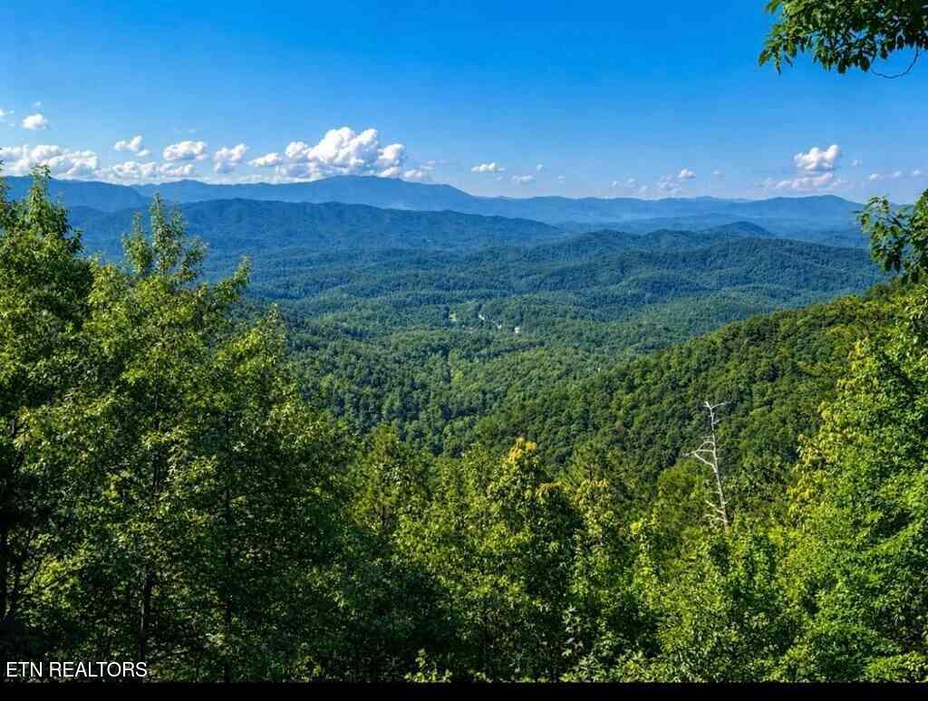 1001 Old Laurel Lane Sevierville TN 37876