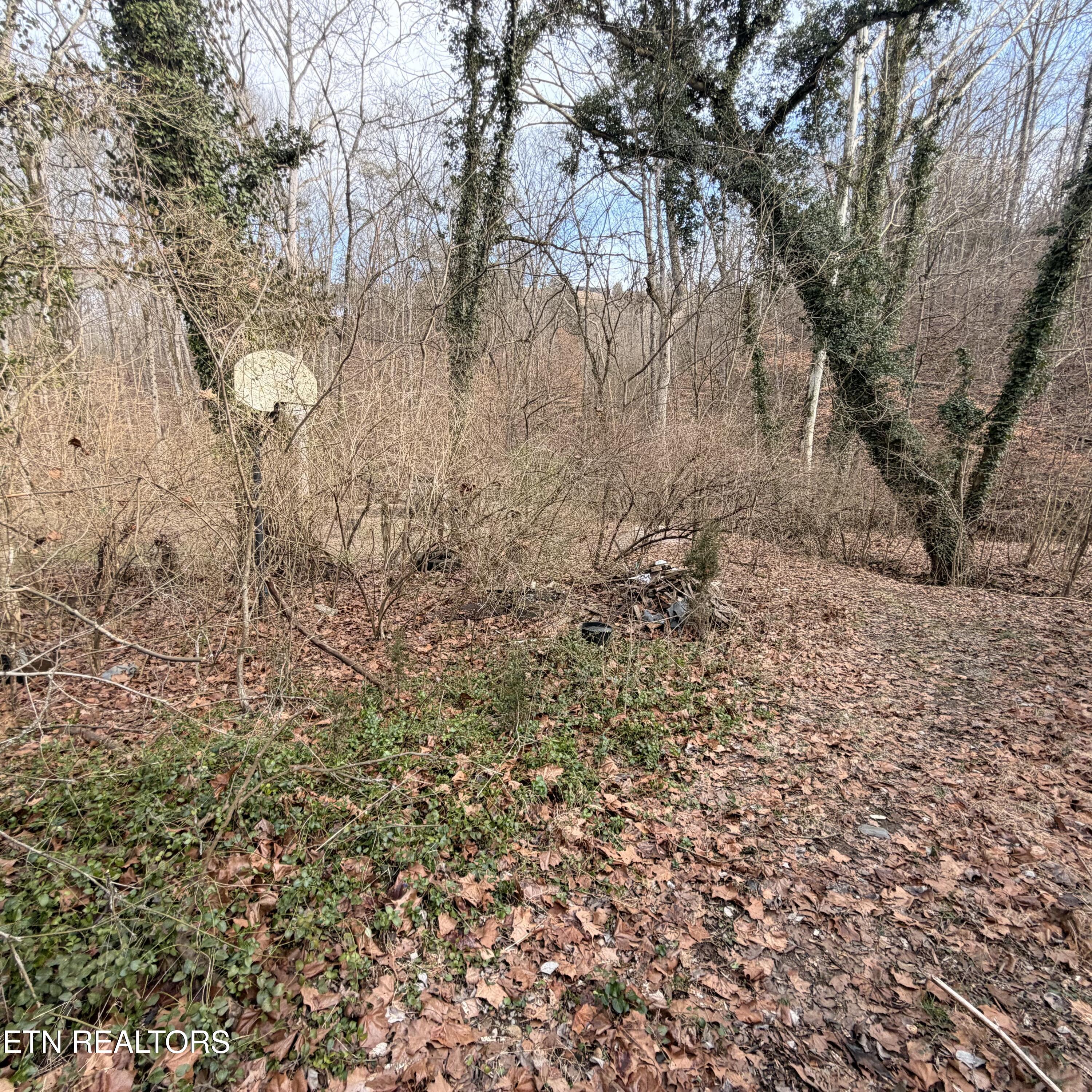 1747 E Old Topside Road Louisville TN 37777