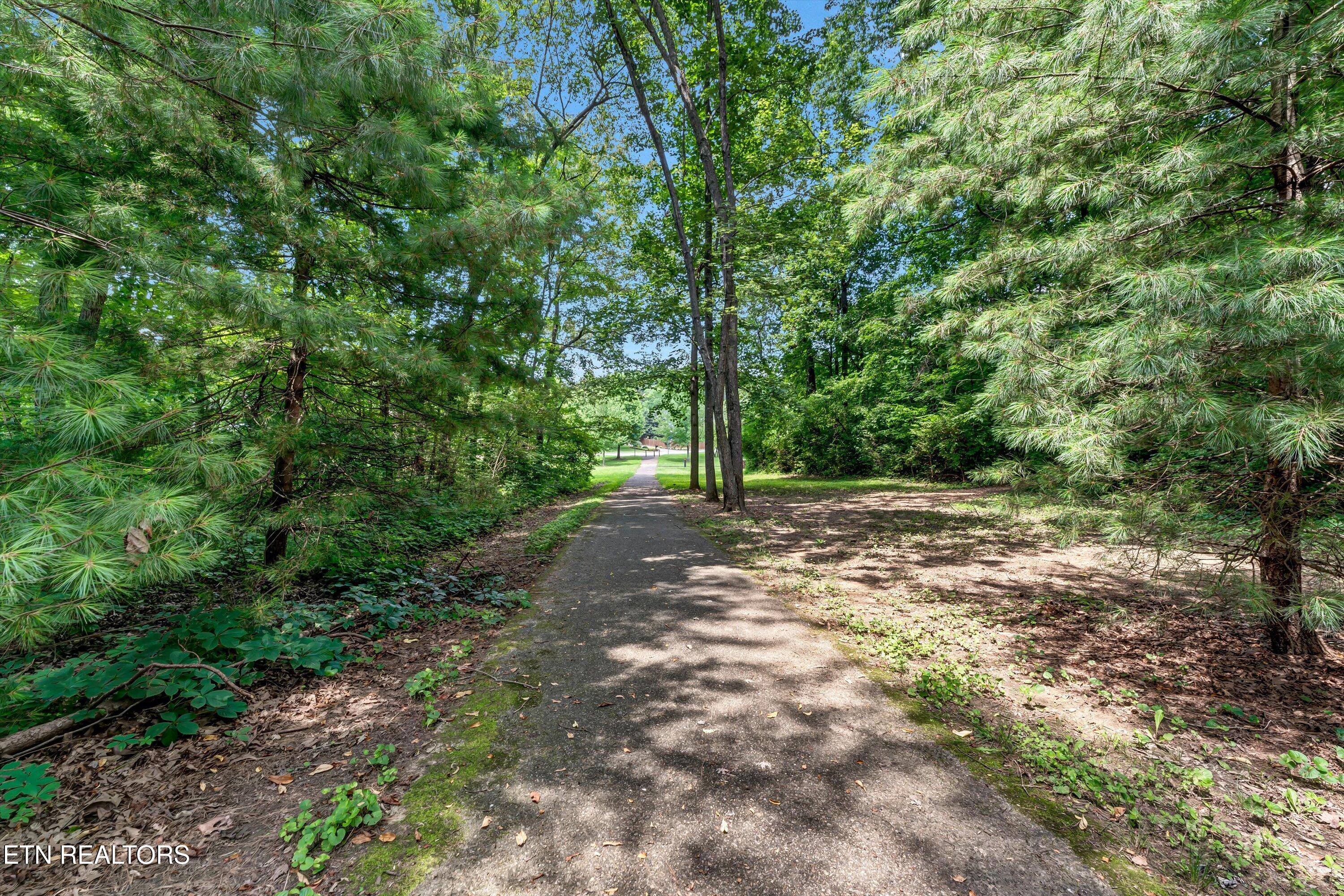 404 Woodland Trace Drive Knoxville TN 37934