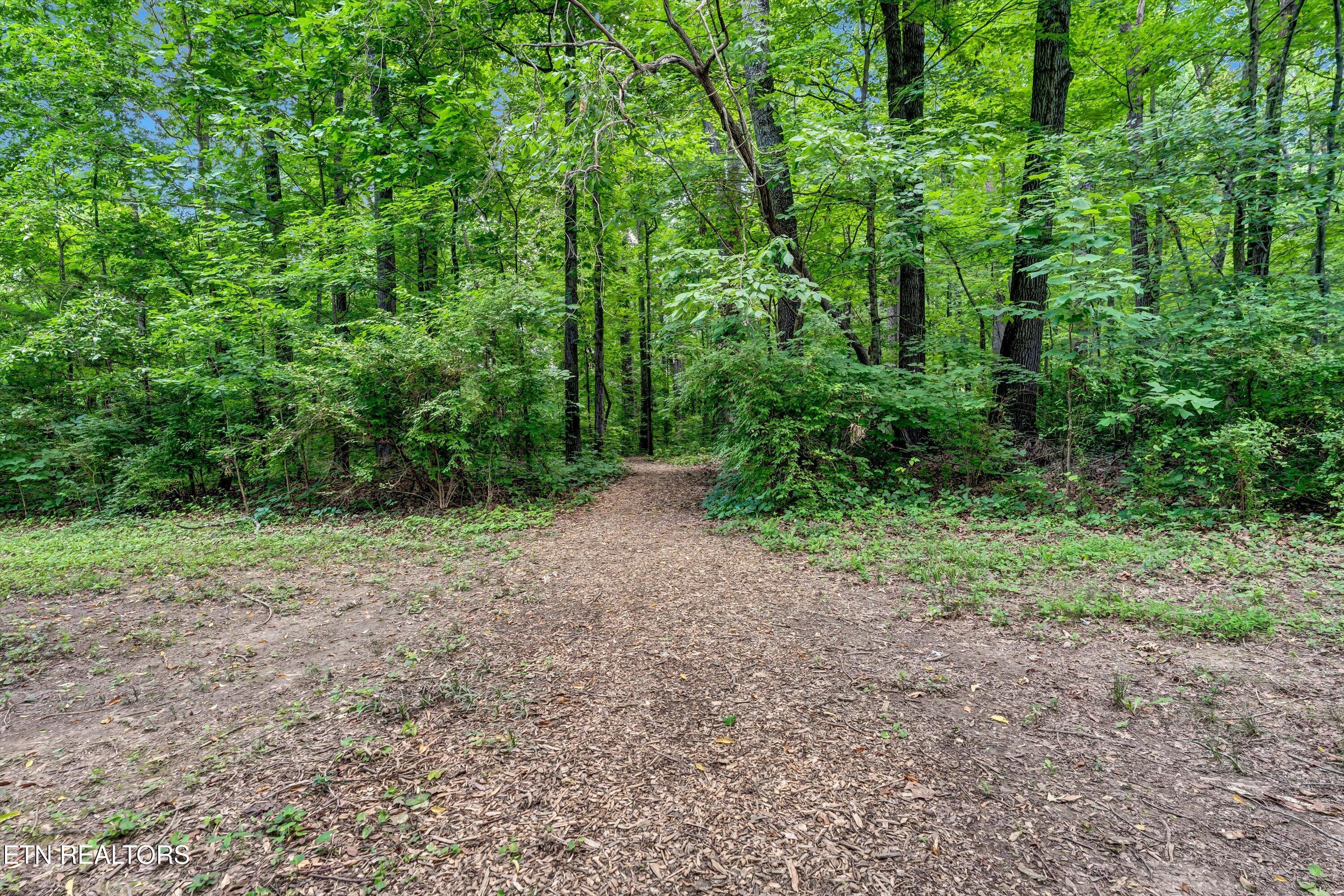 404 Woodland Trace Drive Knoxville TN 37934