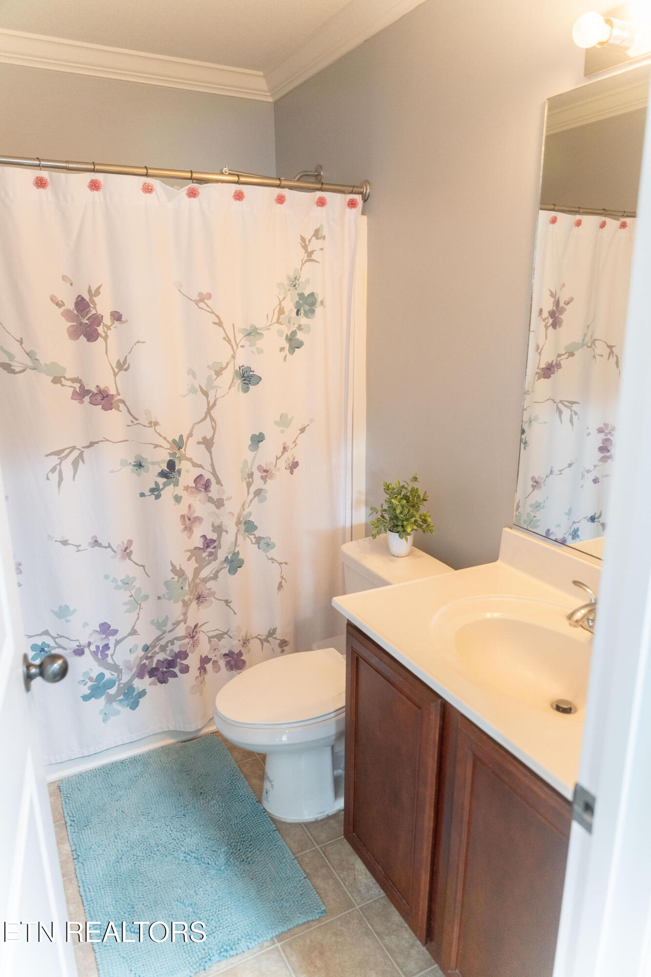 2847 Ashridge Road Knoxville TN 37931