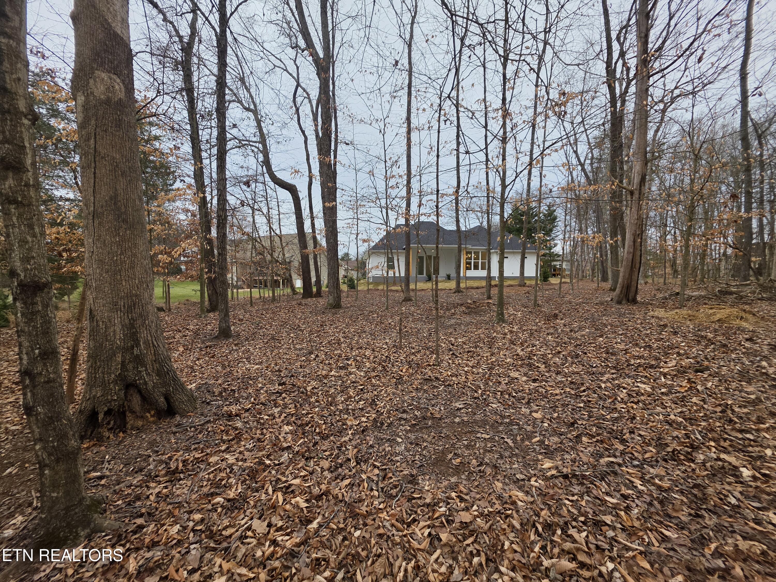 518 Gohi Trail Vonore TN 37885