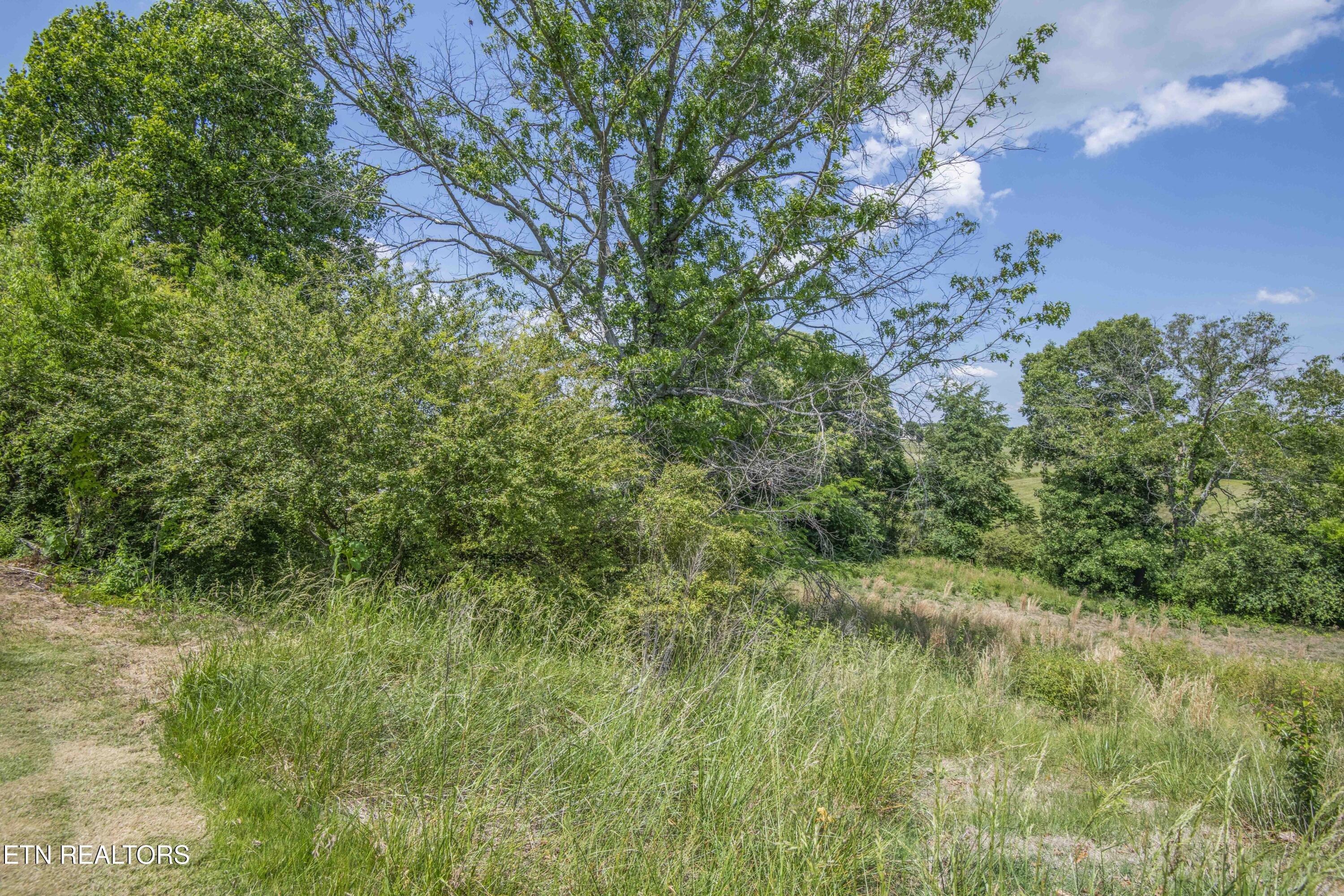 5778 Davis Ferry Road Loudon TN 37774