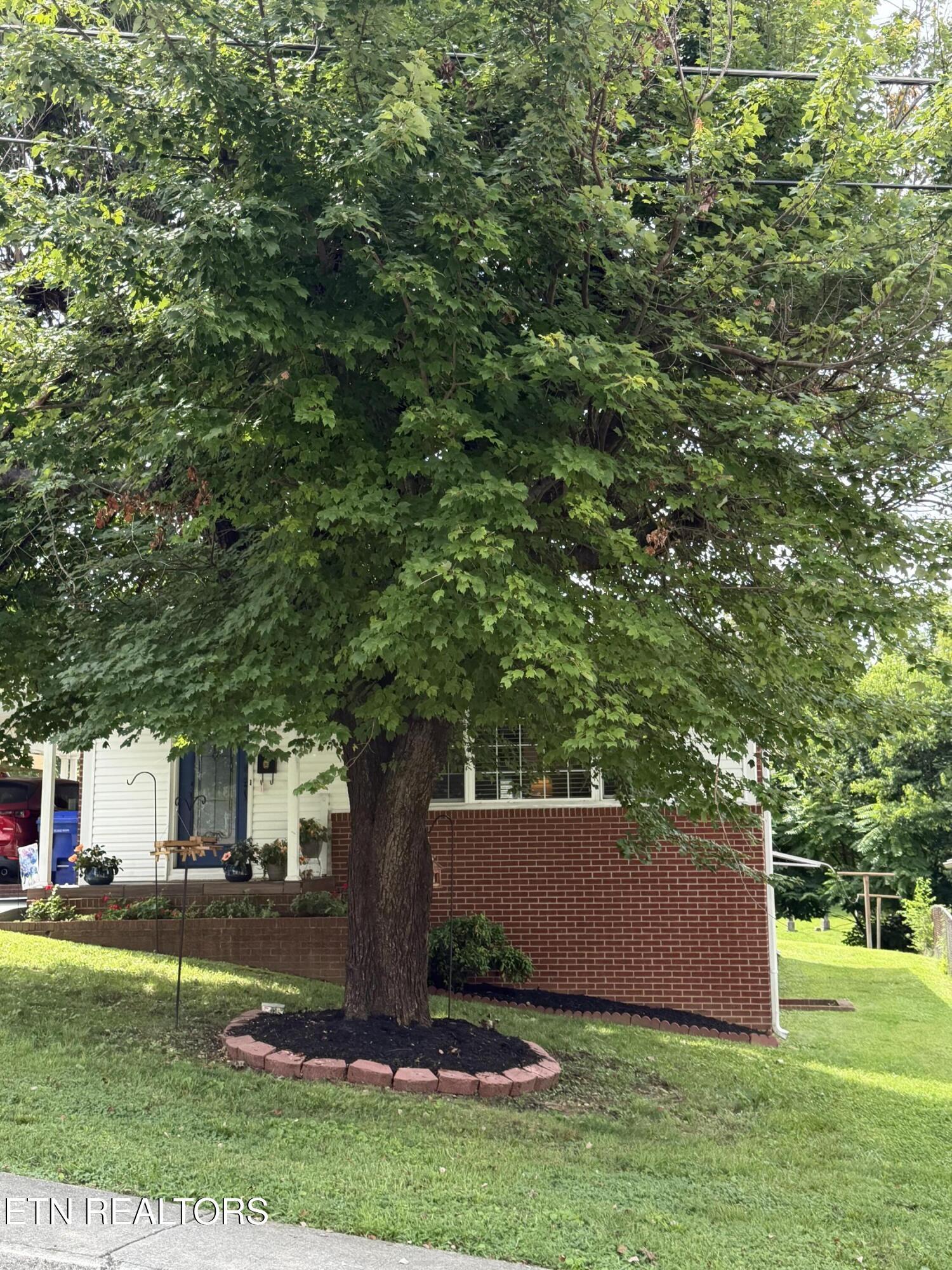 217 W Hicks Street Clinton TN 37716