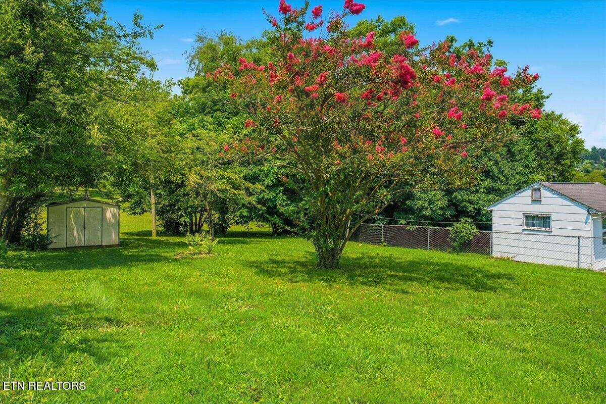 217 W Hicks Street Clinton TN 37716