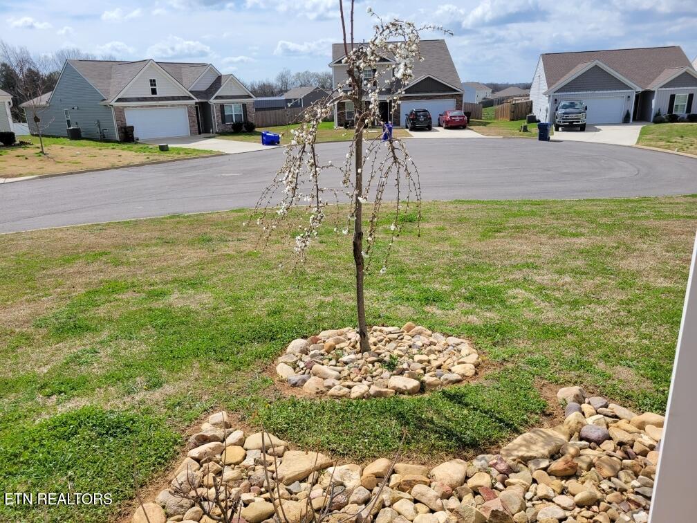 1116 Janice Lane Talbott TN 37877