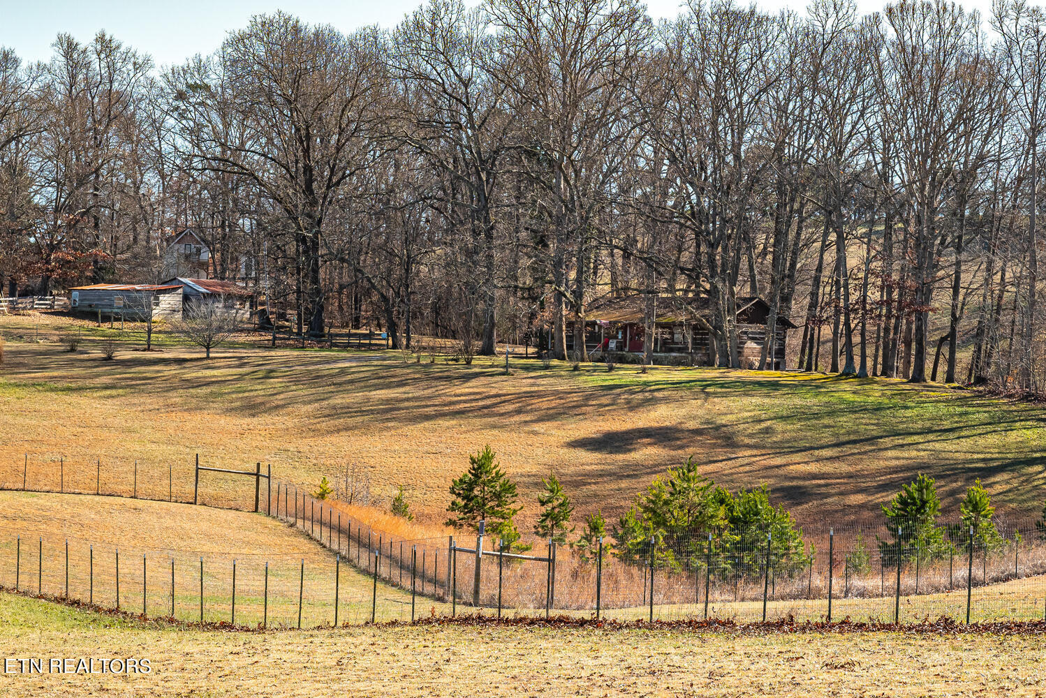 705 Wine Road Dandridge TN 37725