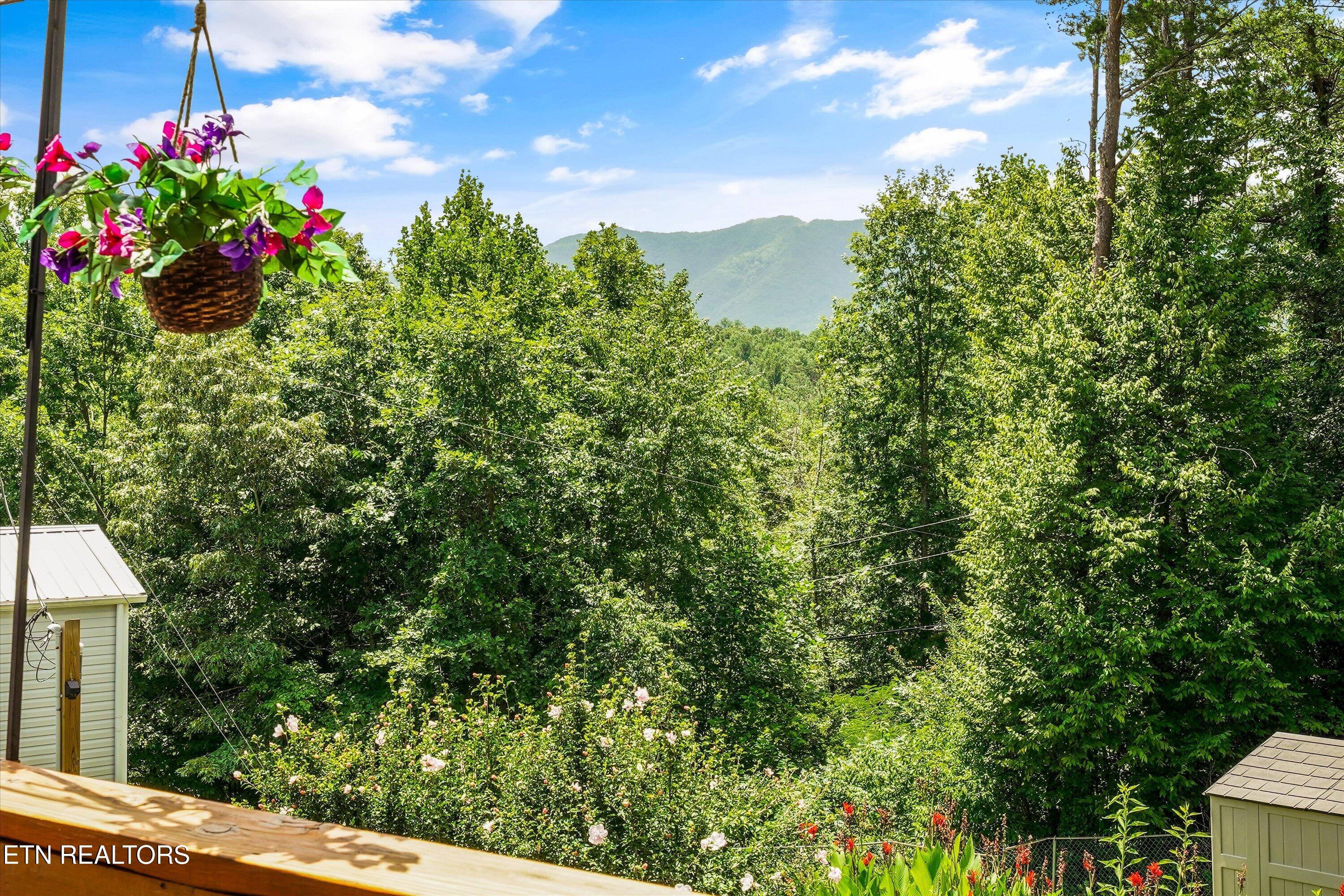 844 Peacock Ridge Road Townsend TN 37882