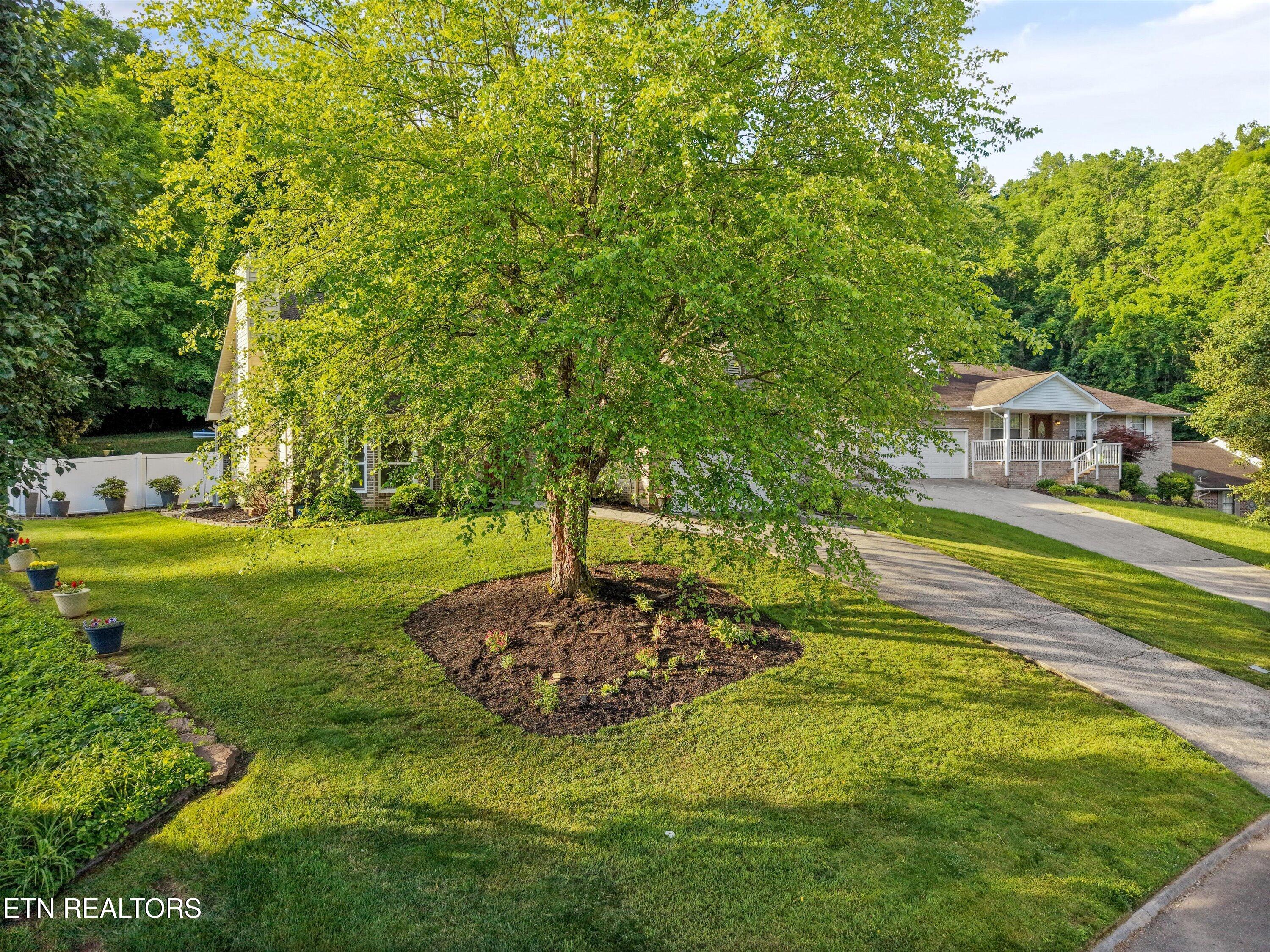5504 Springridge Lane Knoxville TN 37931