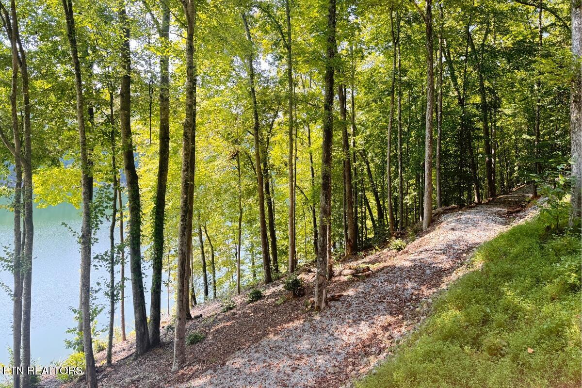 246 Landmark Drive New Tazewell TN 37825