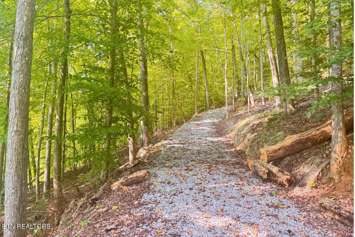 246 Landmark Drive New Tazewell TN 37825
