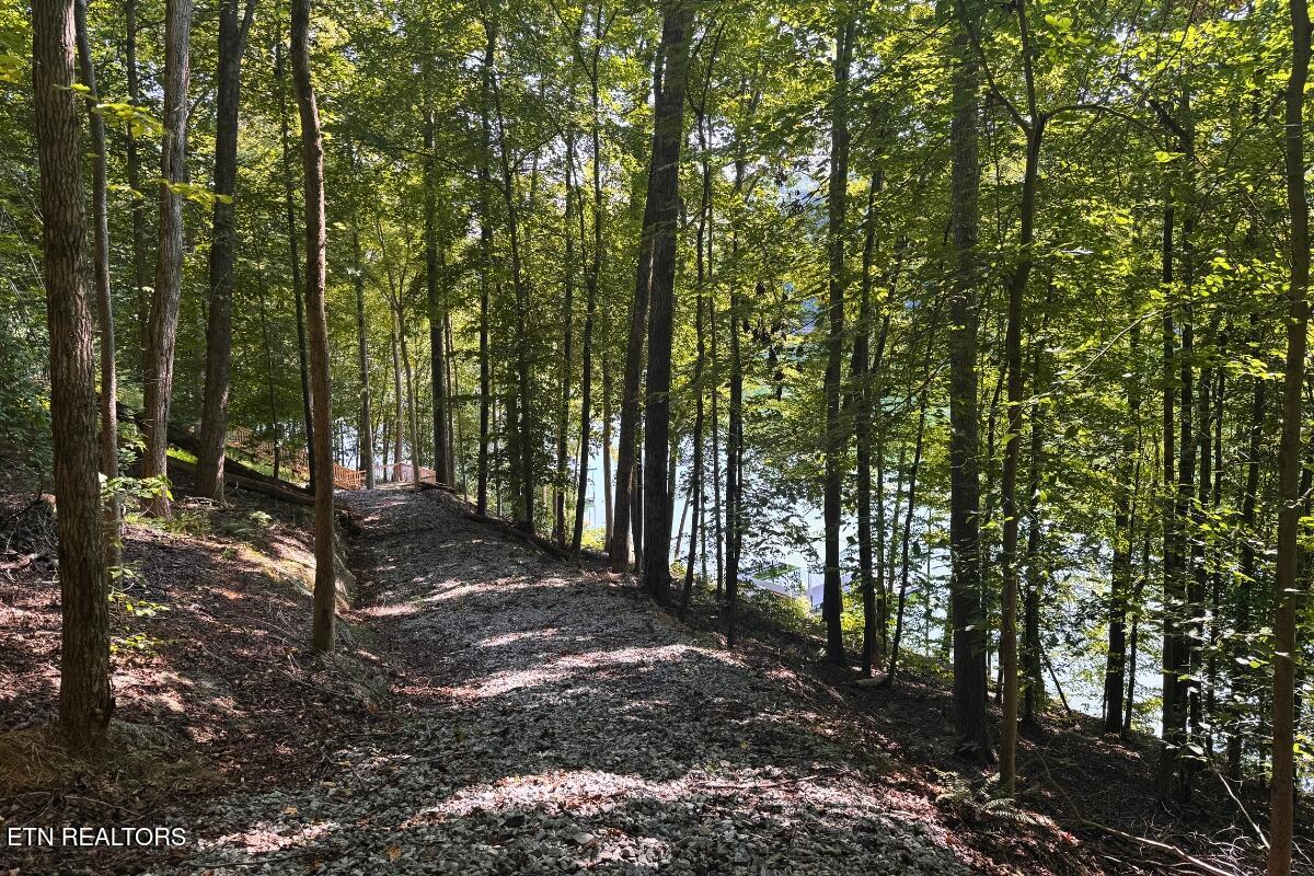 246 Landmark Drive New Tazewell TN 37825