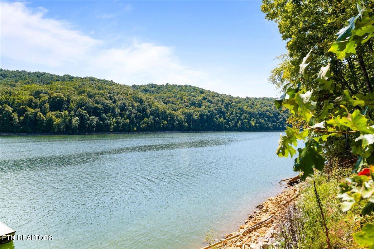 246 Landmark Drive New Tazewell TN 37825