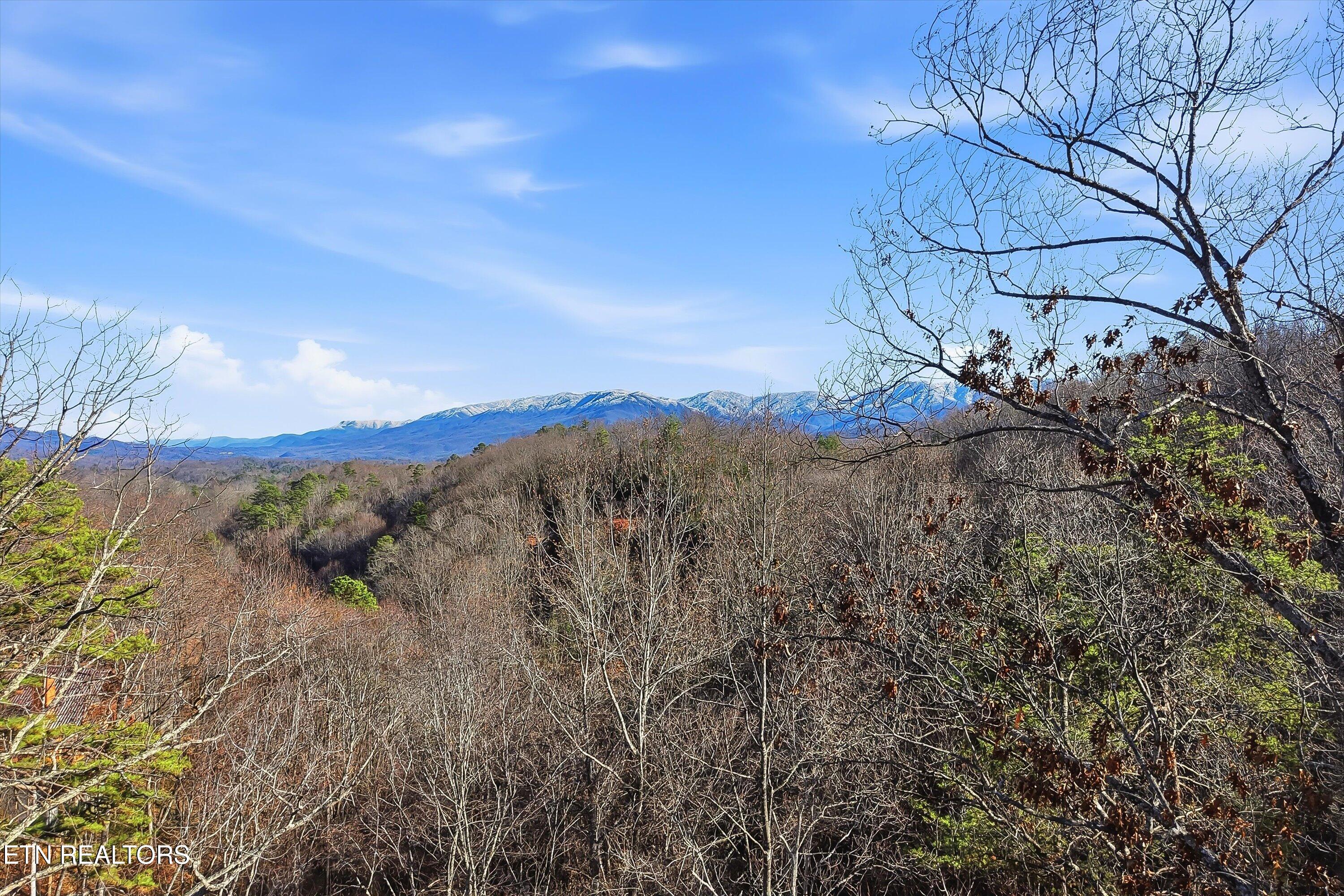 1104 Laddie Buck Lane Gatlinburg TN 37738