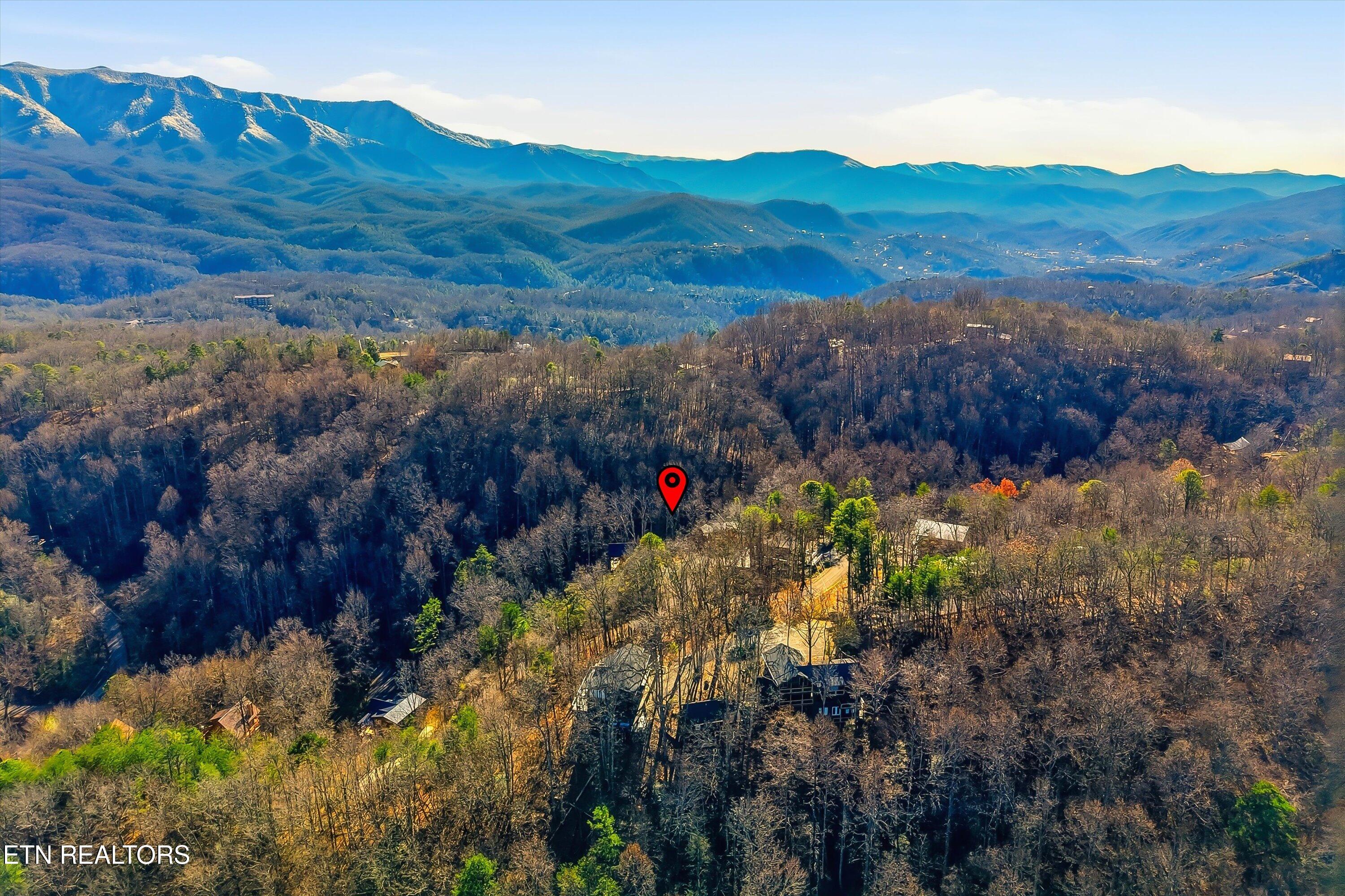 1104 Laddie Buck Lane Gatlinburg TN 37738