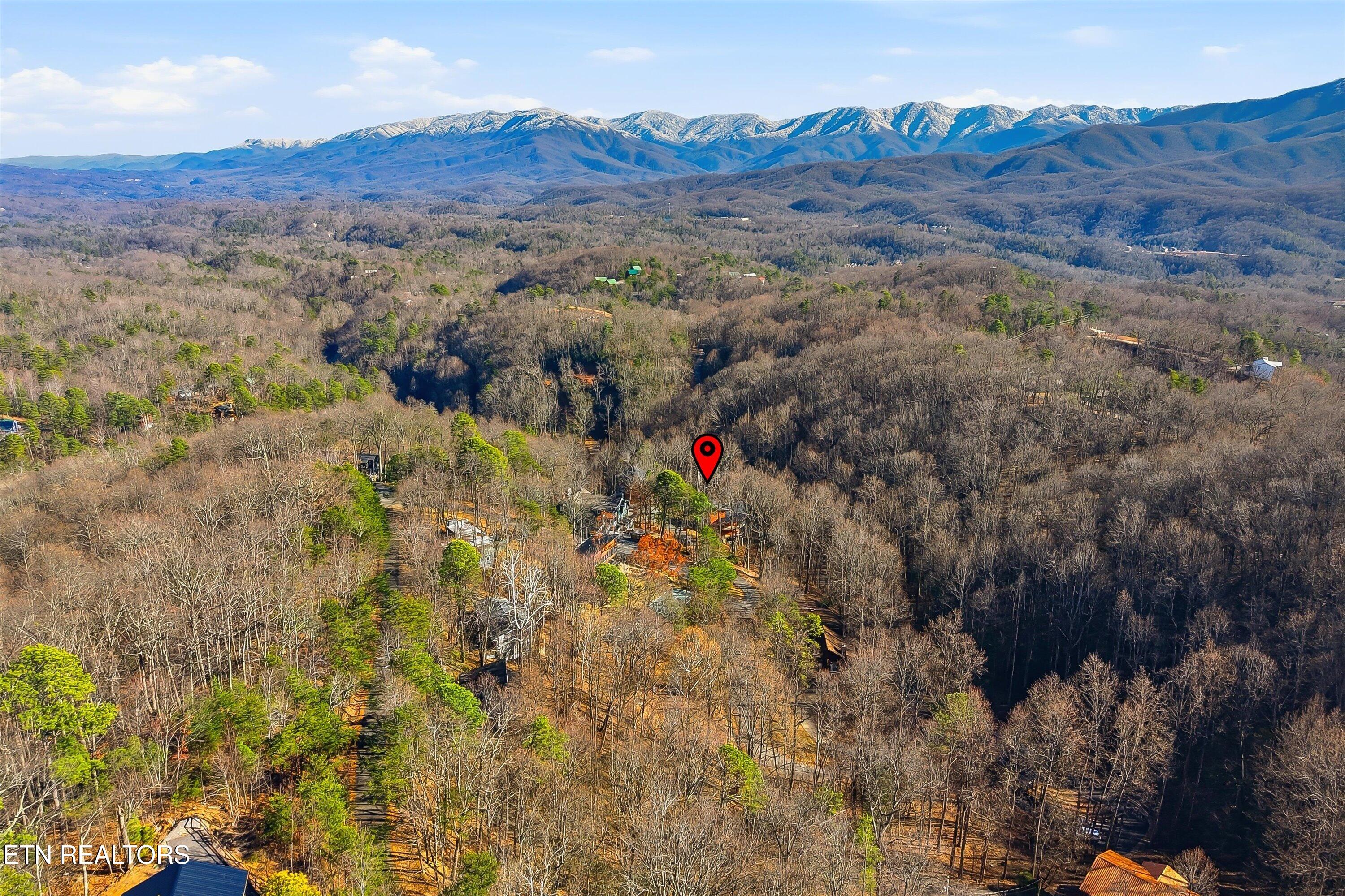 1104 Laddie Buck Lane Gatlinburg TN 37738