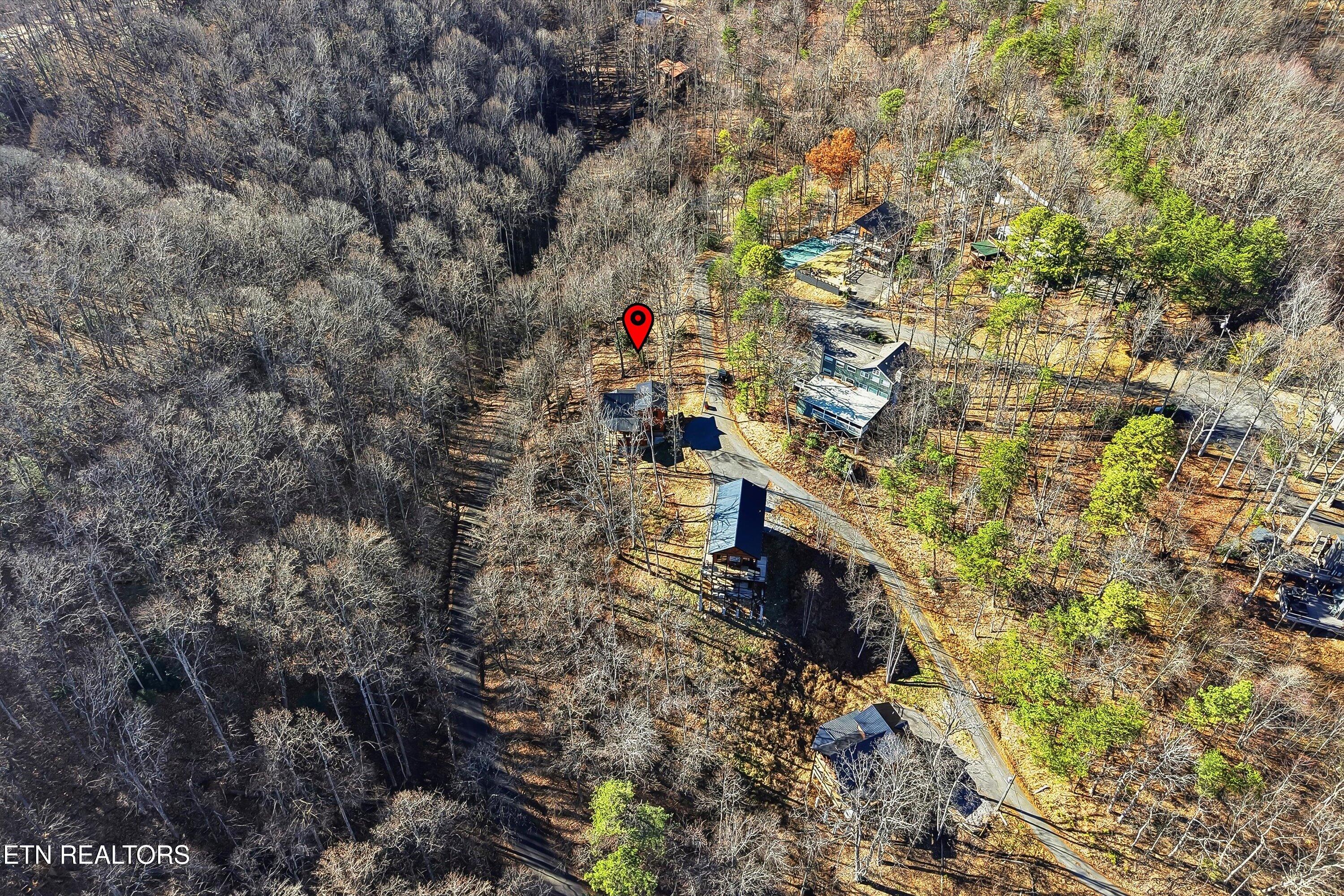 1104 Laddie Buck Lane Gatlinburg TN 37738
