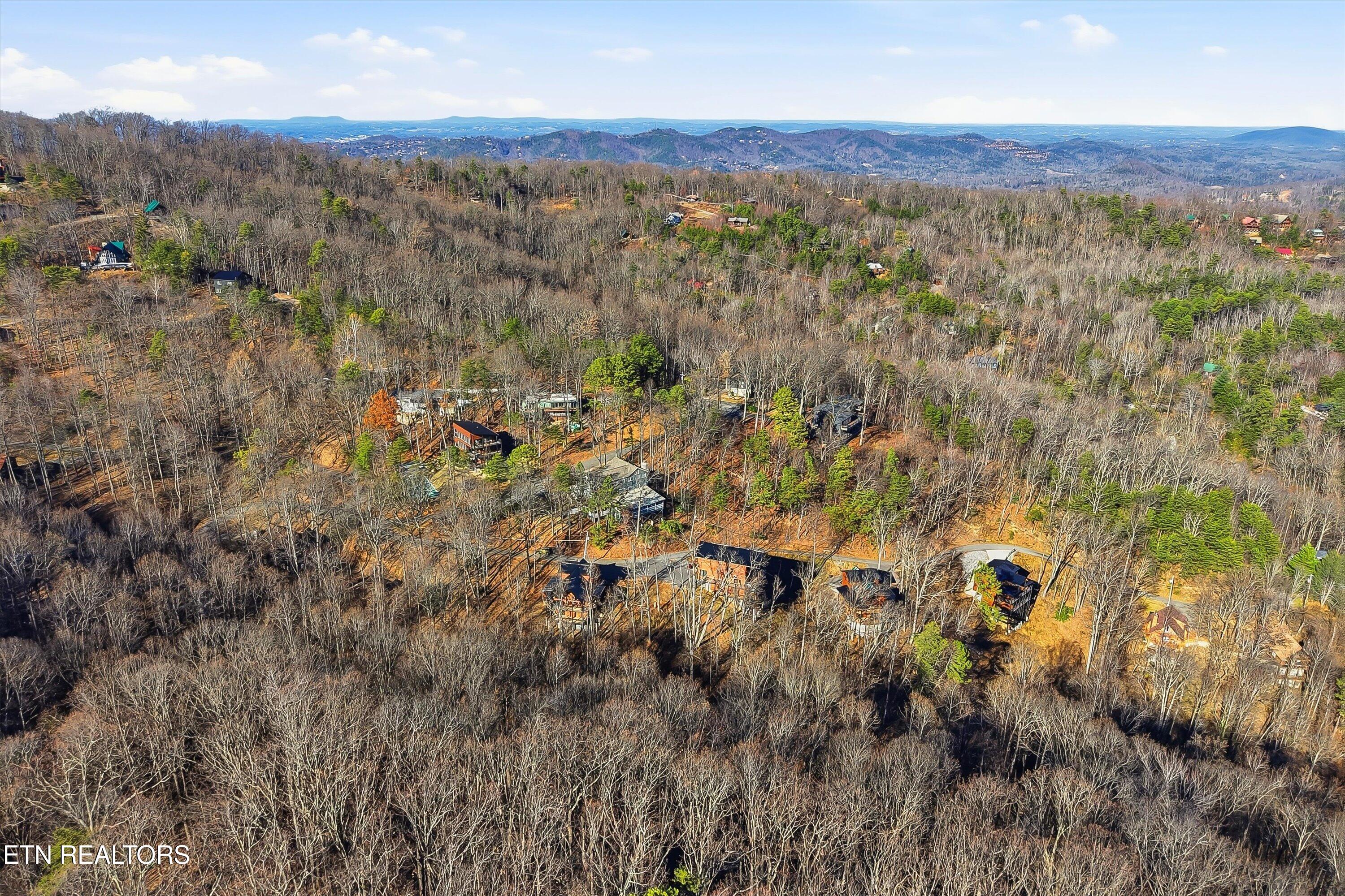1104 Laddie Buck Lane Gatlinburg TN 37738
