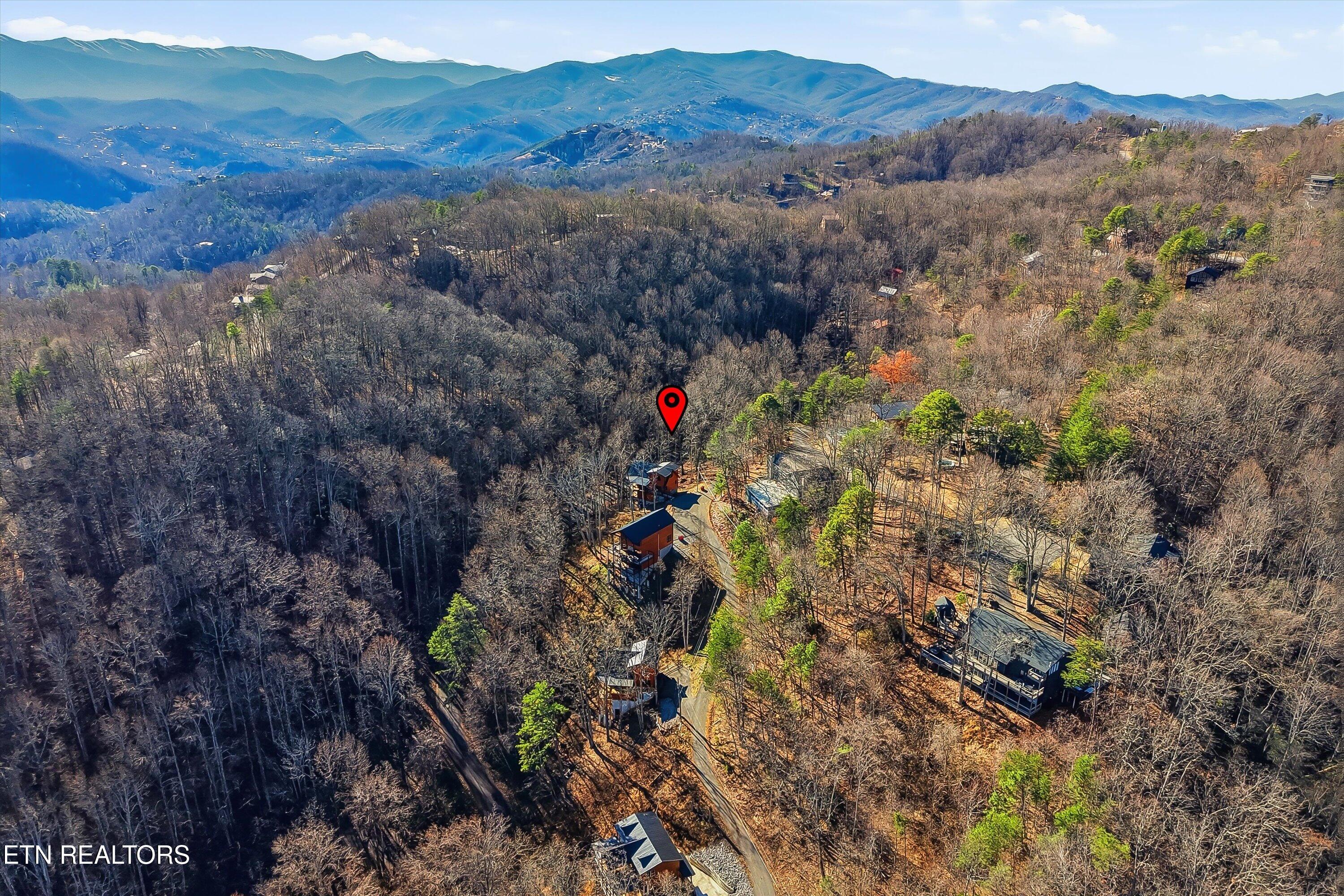 1104 Laddie Buck Lane Gatlinburg TN 37738
