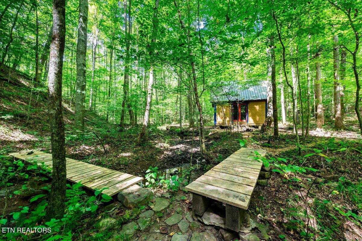 755 Bear Branch Road Wartburg TN 37887