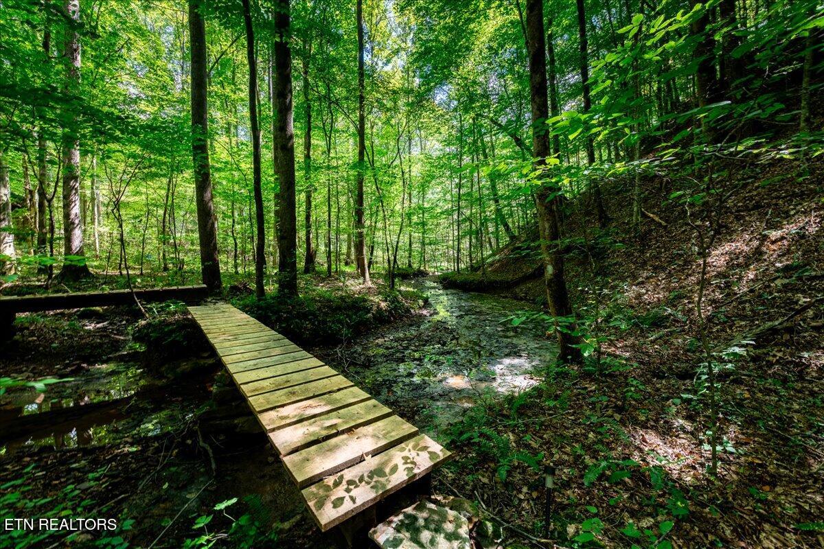755 Bear Branch Road Wartburg TN 37887