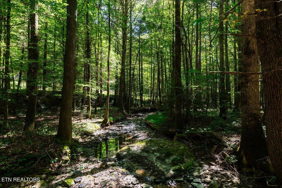 755 Bear Branch Road Wartburg TN 37887