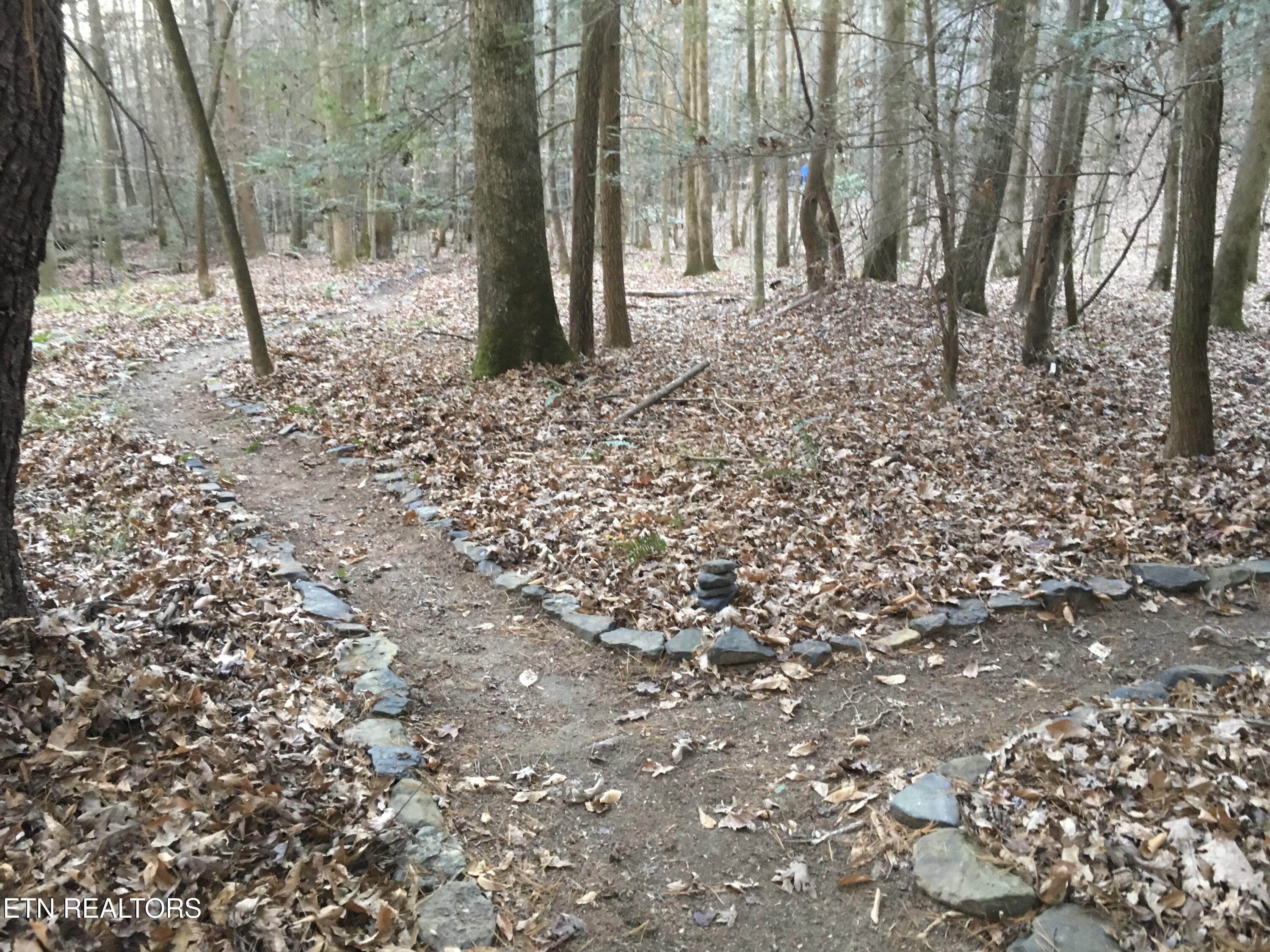755 Bear Branch Road Wartburg TN 37887