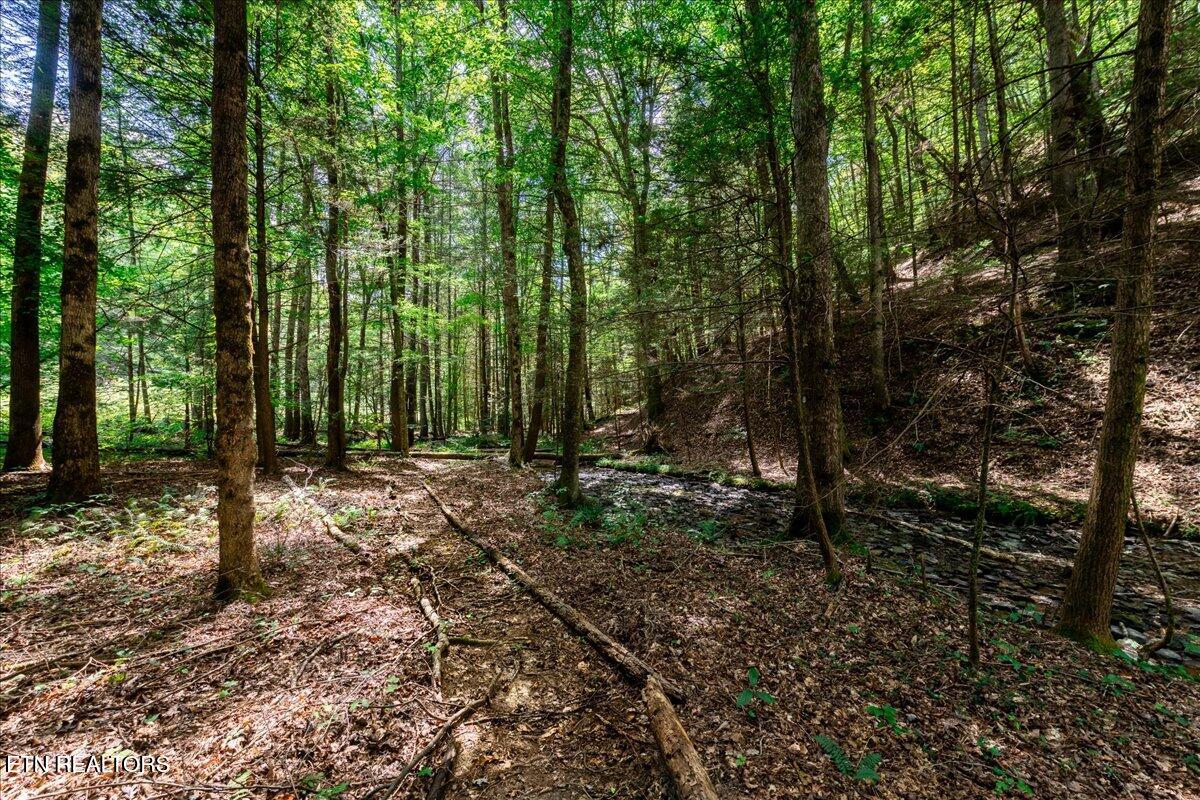 755 Bear Branch Road Wartburg TN 37887