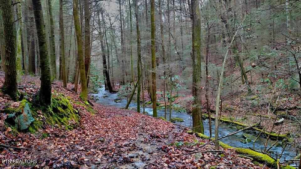 755 Bear Branch Road Wartburg TN 37887