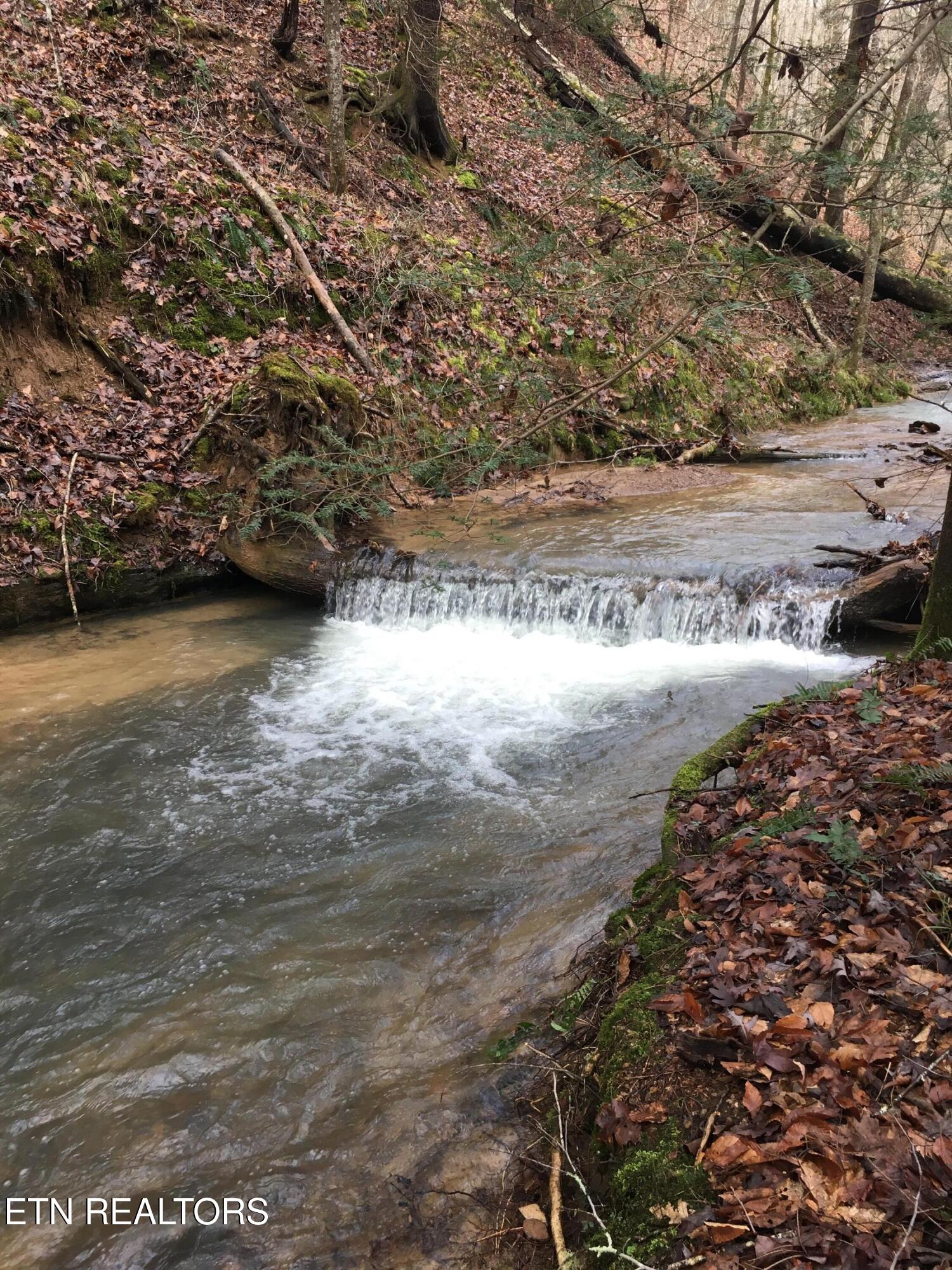 755 Bear Branch Road Wartburg TN 37887