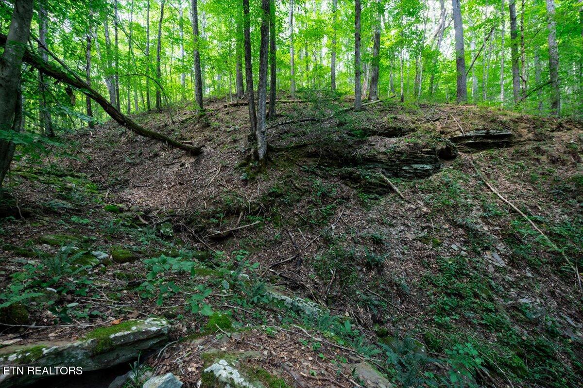 755 Bear Branch Road Wartburg TN 37887