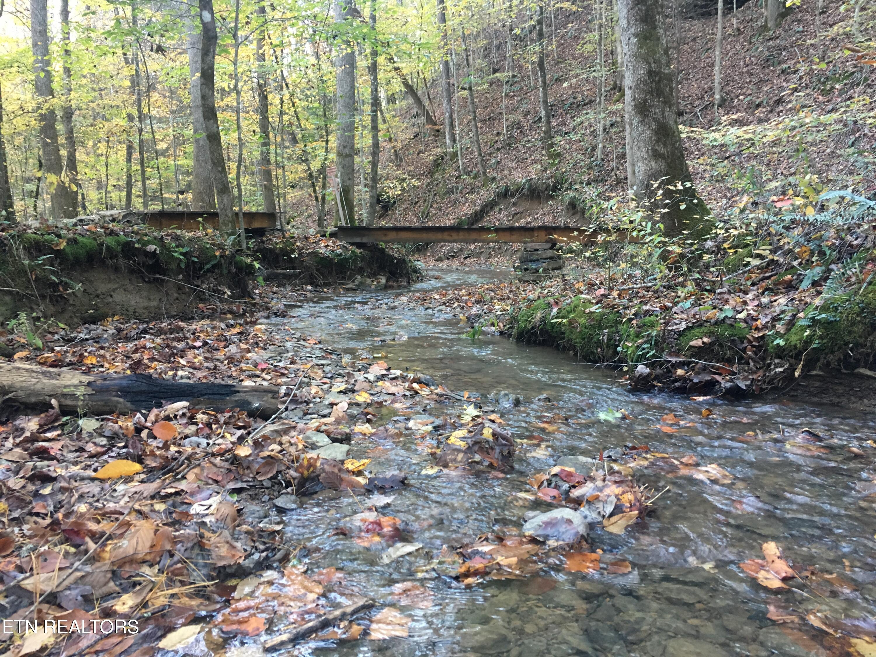 755 Bear Branch Road Wartburg TN 37887