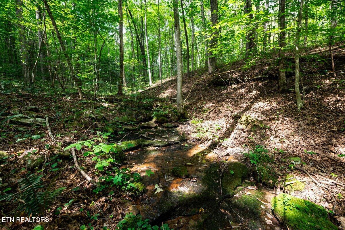 755 Bear Branch Road Wartburg TN 37887