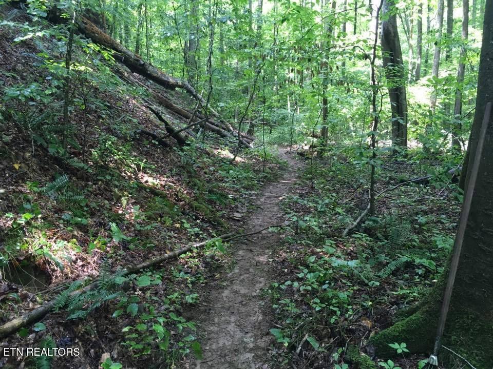 755 Bear Branch Road Wartburg TN 37887