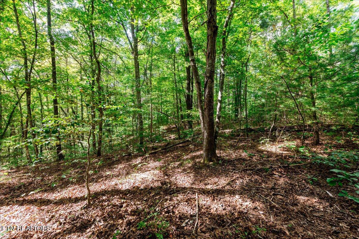 755 Bear Branch Road Wartburg TN 37887